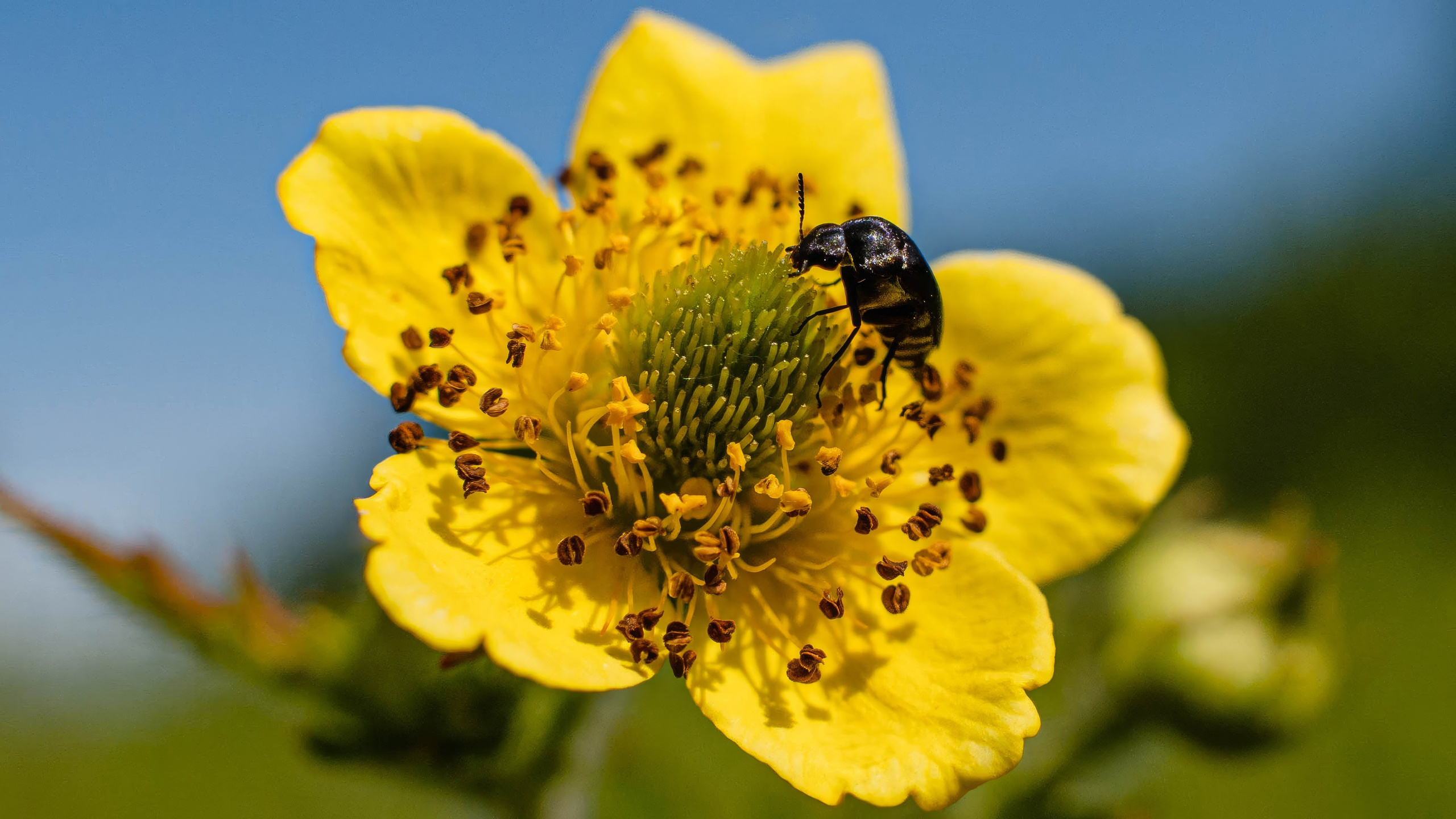 Портфолио. Фотограф и видеограф, видеомонтаж в Амурской области Игорь Иванов