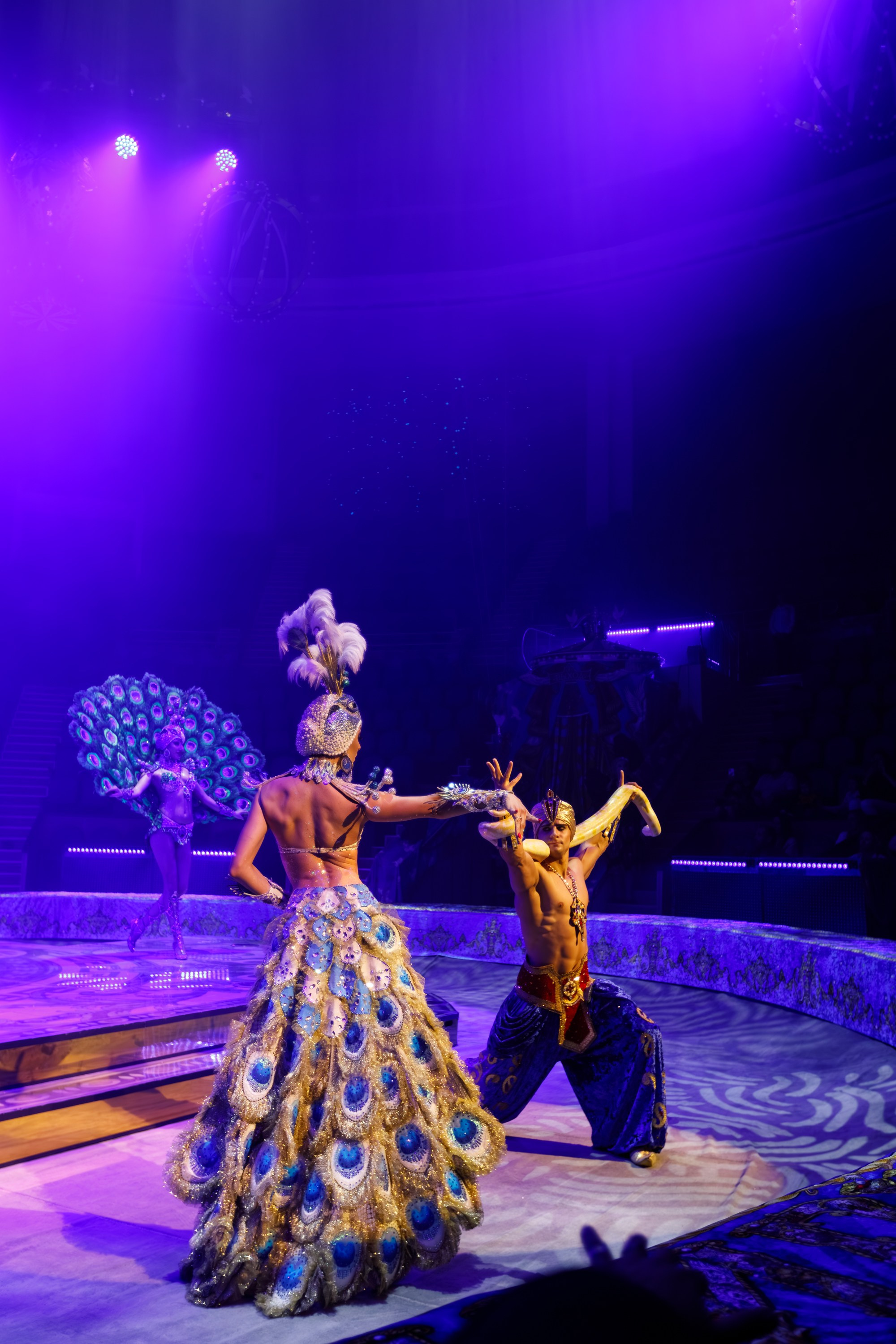 Сочинский росгорцирк Шоу Гии Эрадзе цирк. Профессиональный фотограф в Сочи Виктория Джой. Обучение