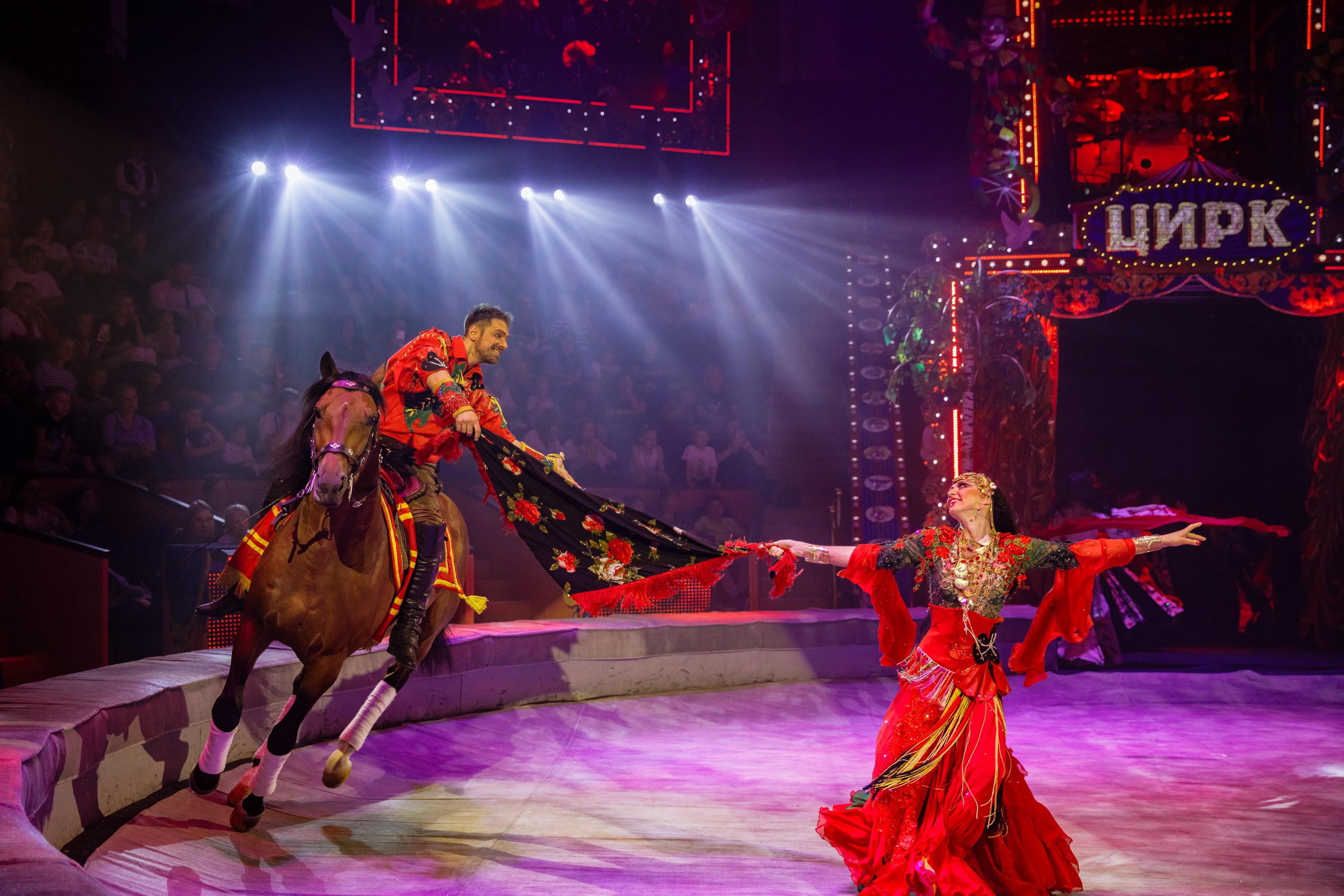 Сочинский росгорцирк Шоу Гии Эрадзе цирк. Профессиональный фотограф в Сочи Виктория Джой. Обучение