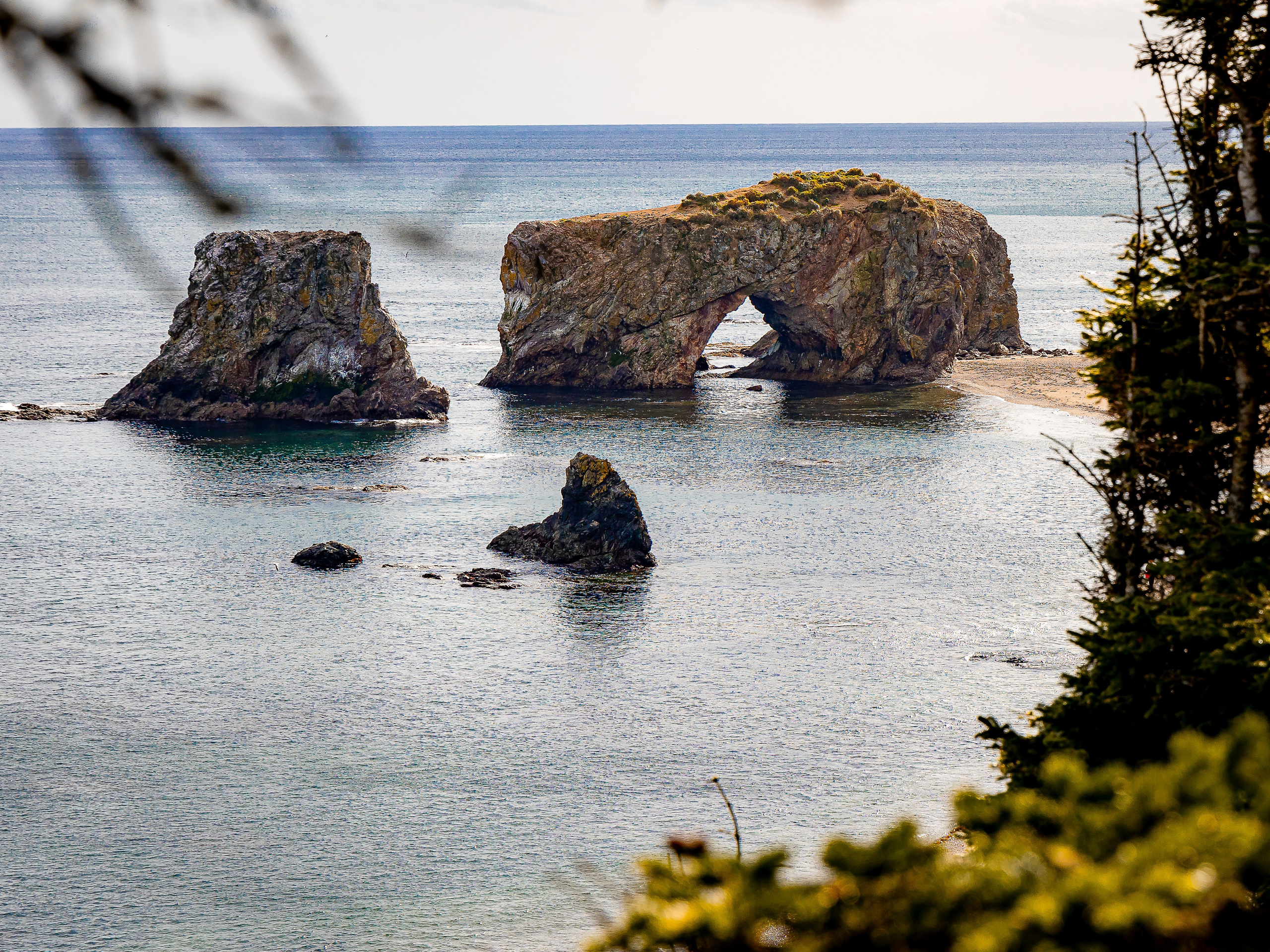 Мыс Великан. Инга Кузьминская ТОП-фотограф г. Корсаков