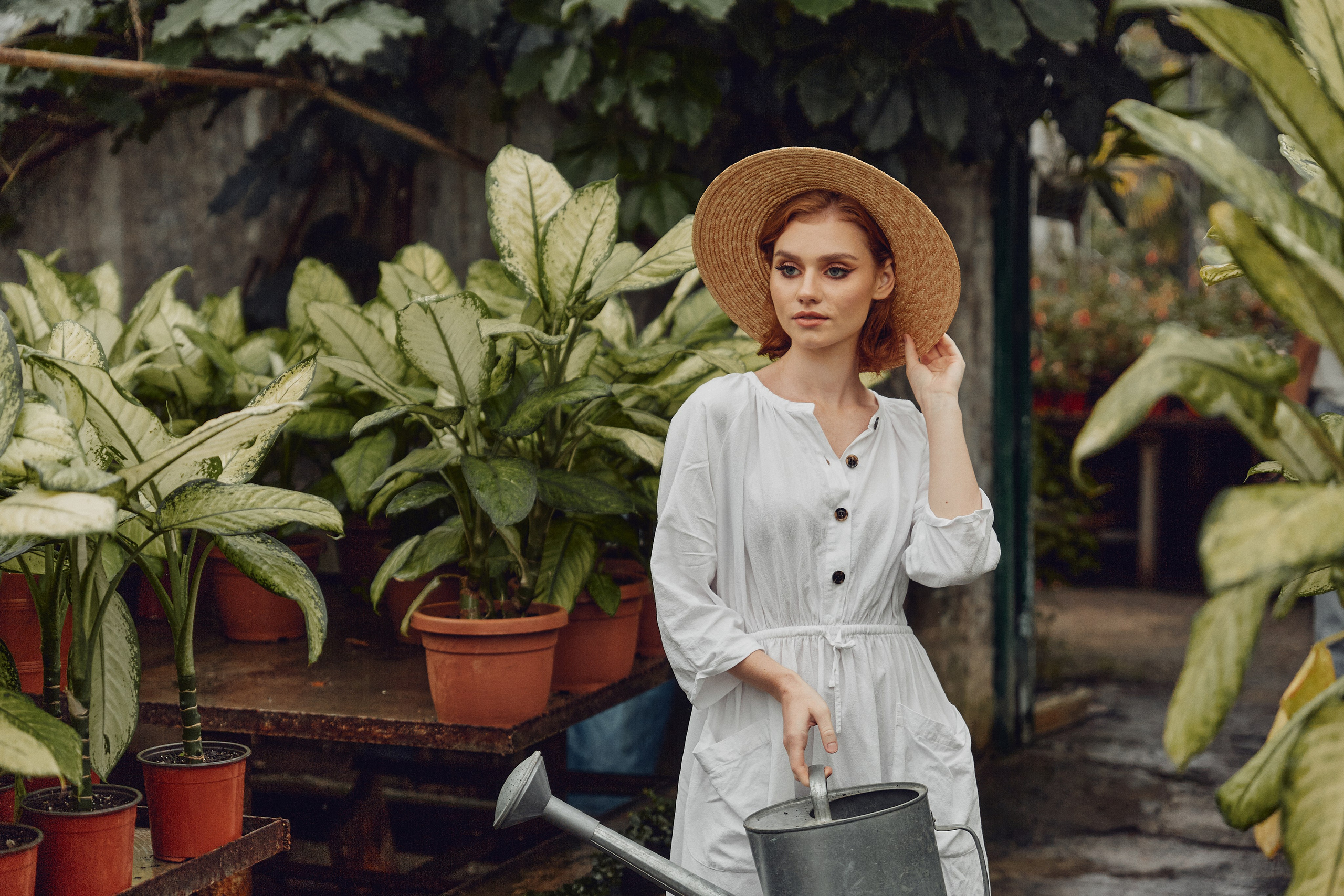 Старая оранжерея