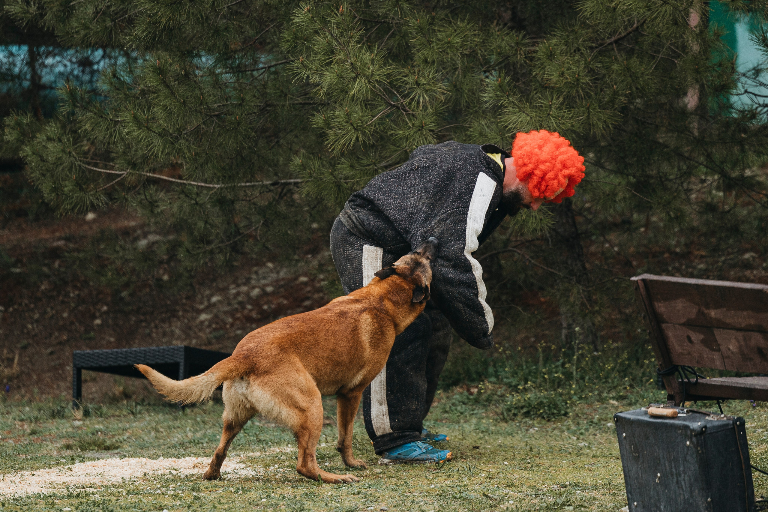 Геленджик Мондьоринг. Фотограф-анималист Анна Маринич