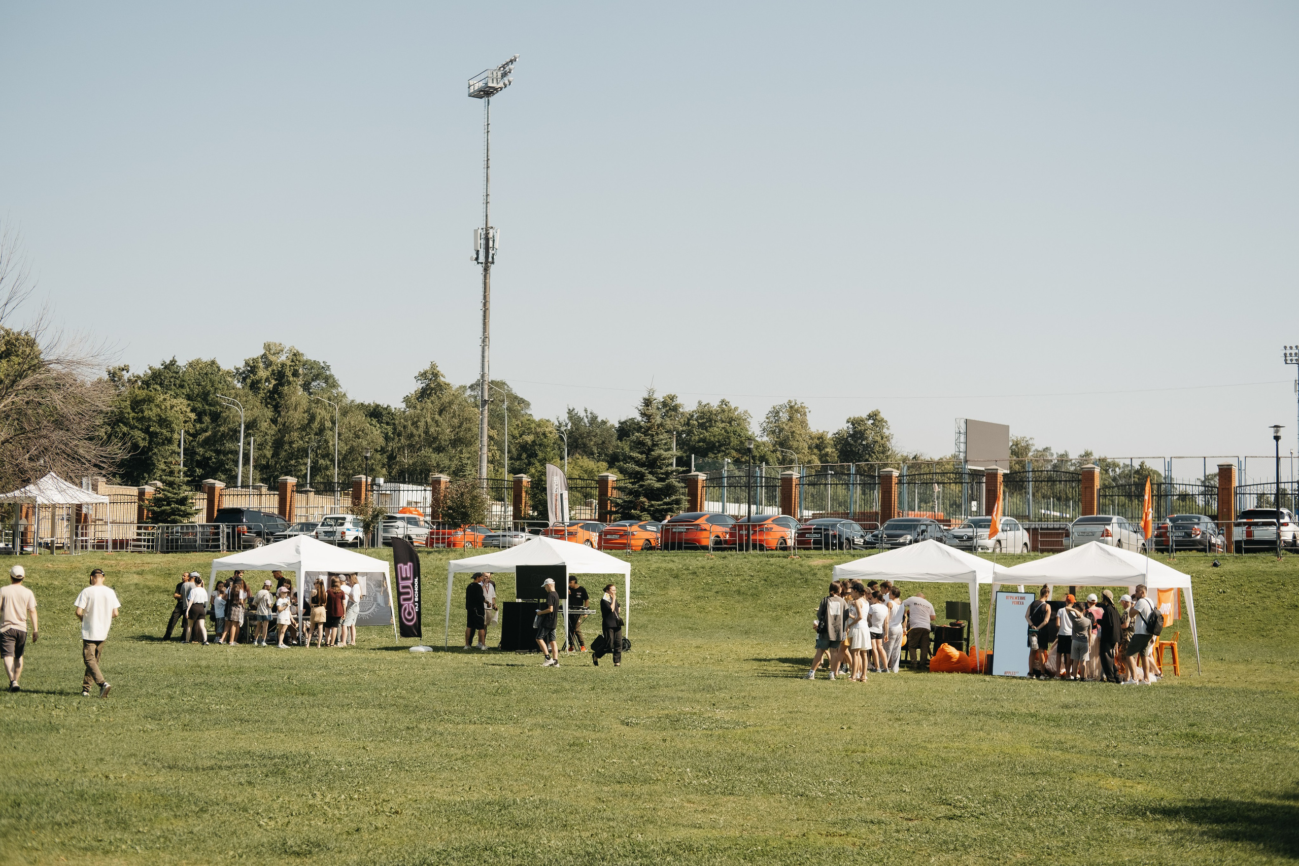 VECTOR FEST. Обо мне