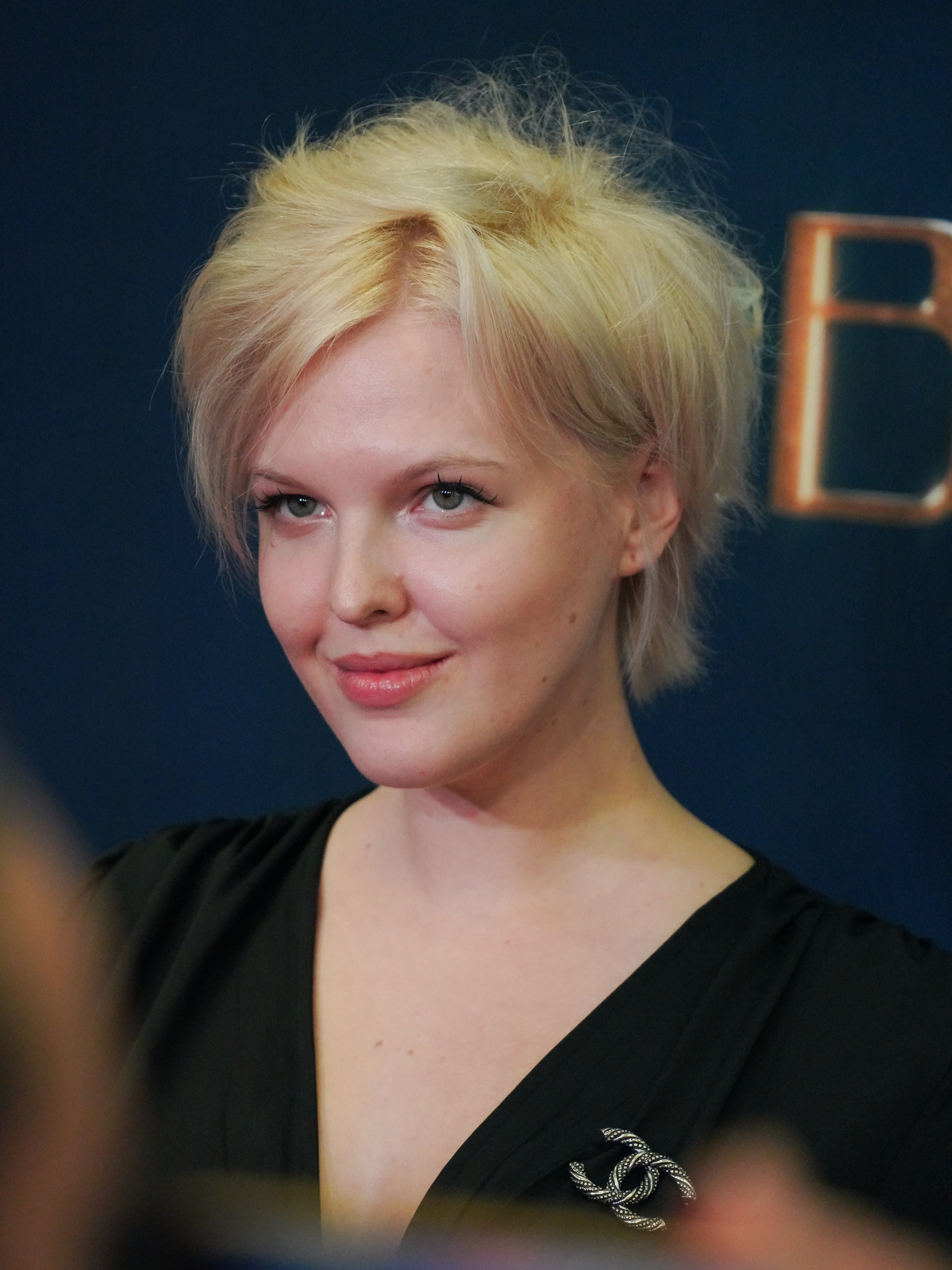 Светская премьера сериала «Тоннель»