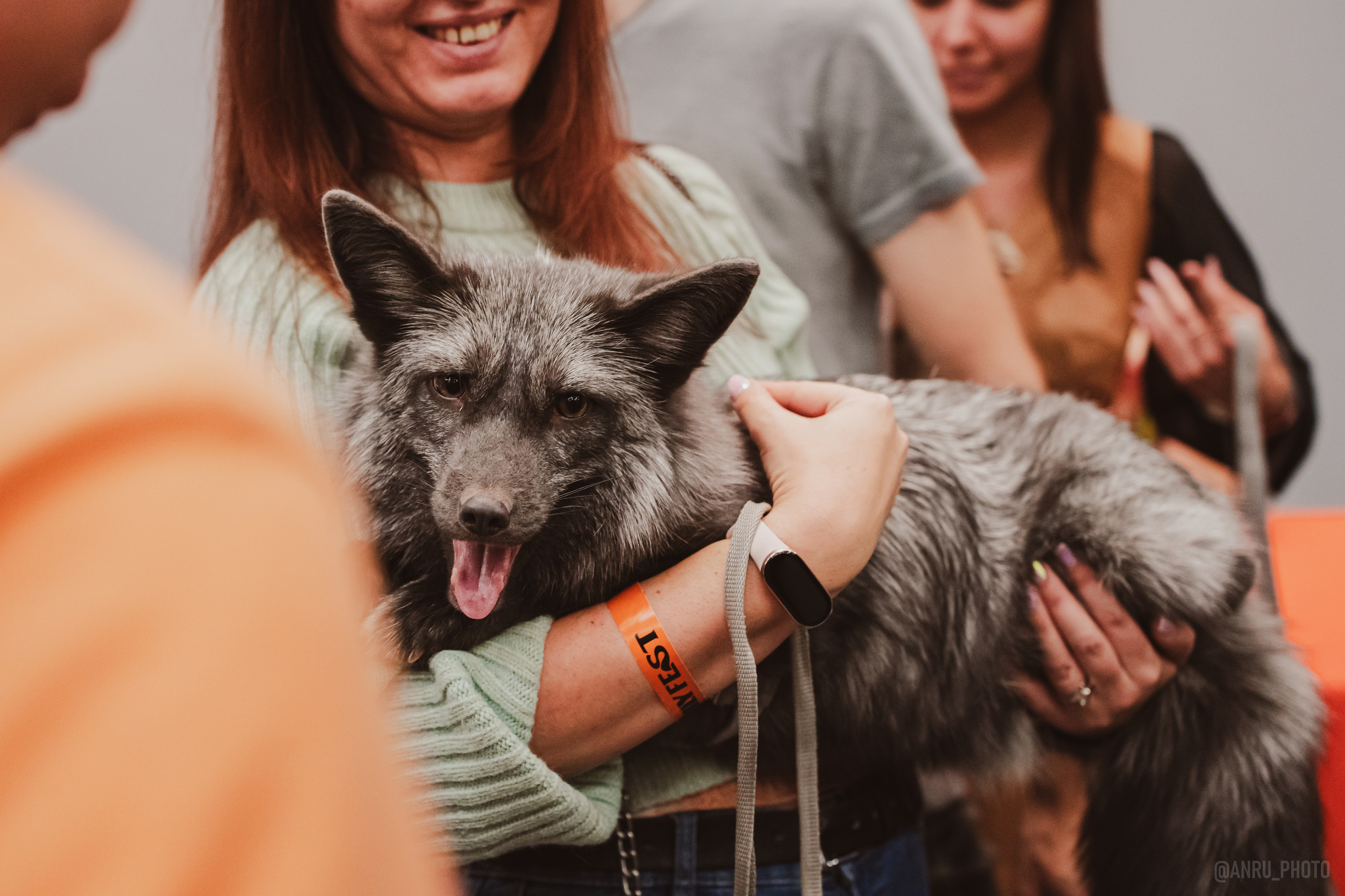 Fox Family fest. Репортажный фотограф Анастасия Рубцова