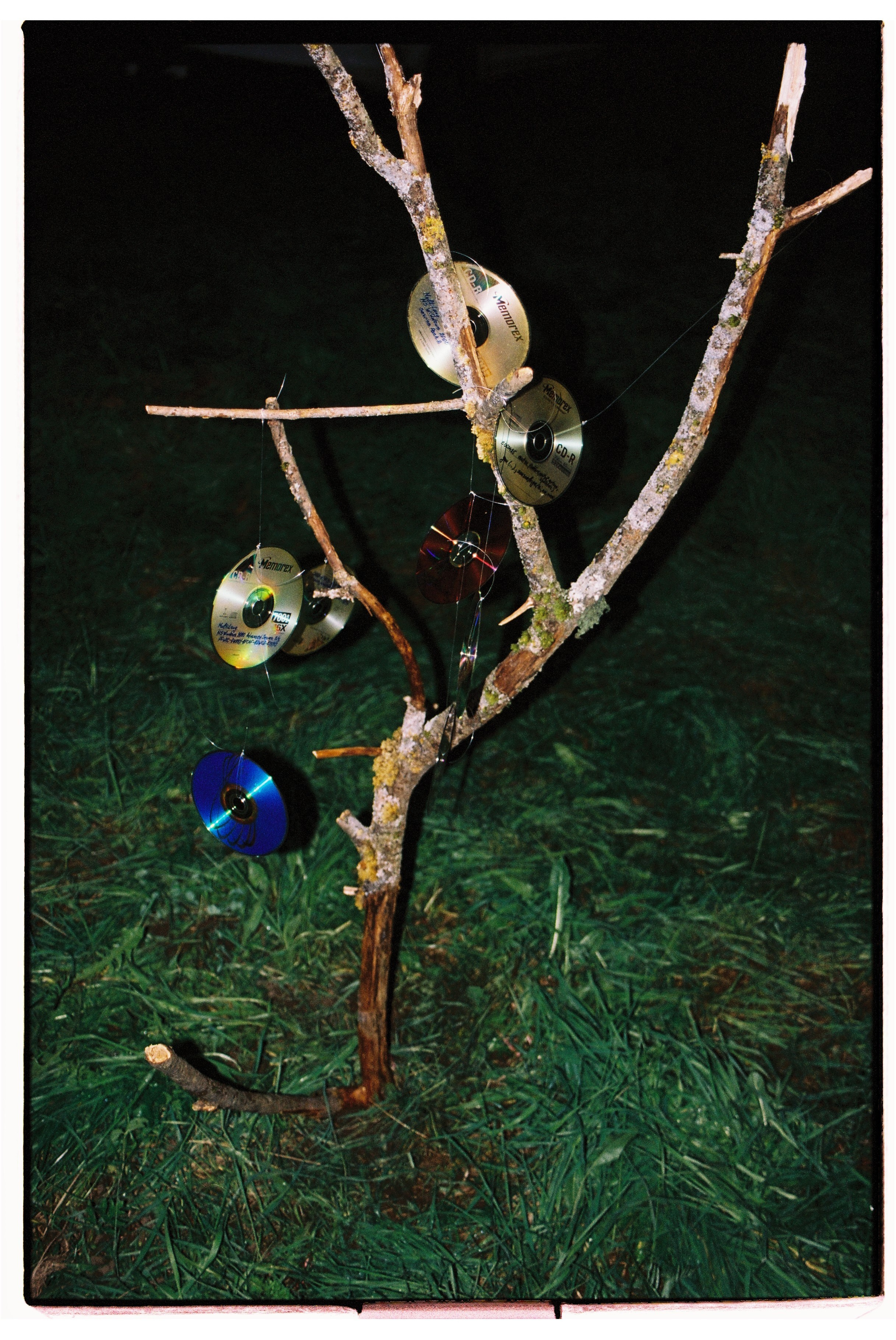 Стрит. Фотограф Соня с Земли