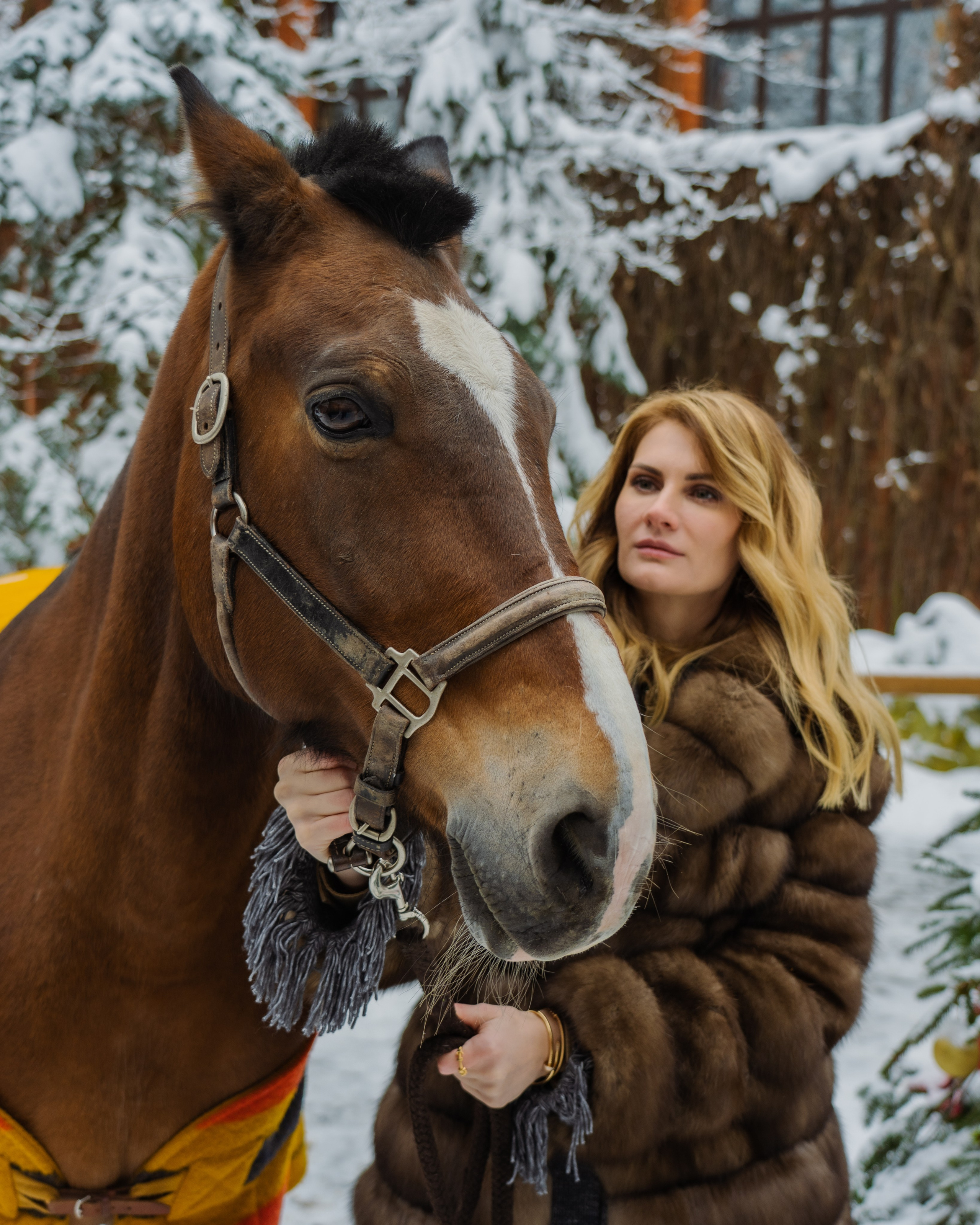 Фотосессия с лошадьми. Главная