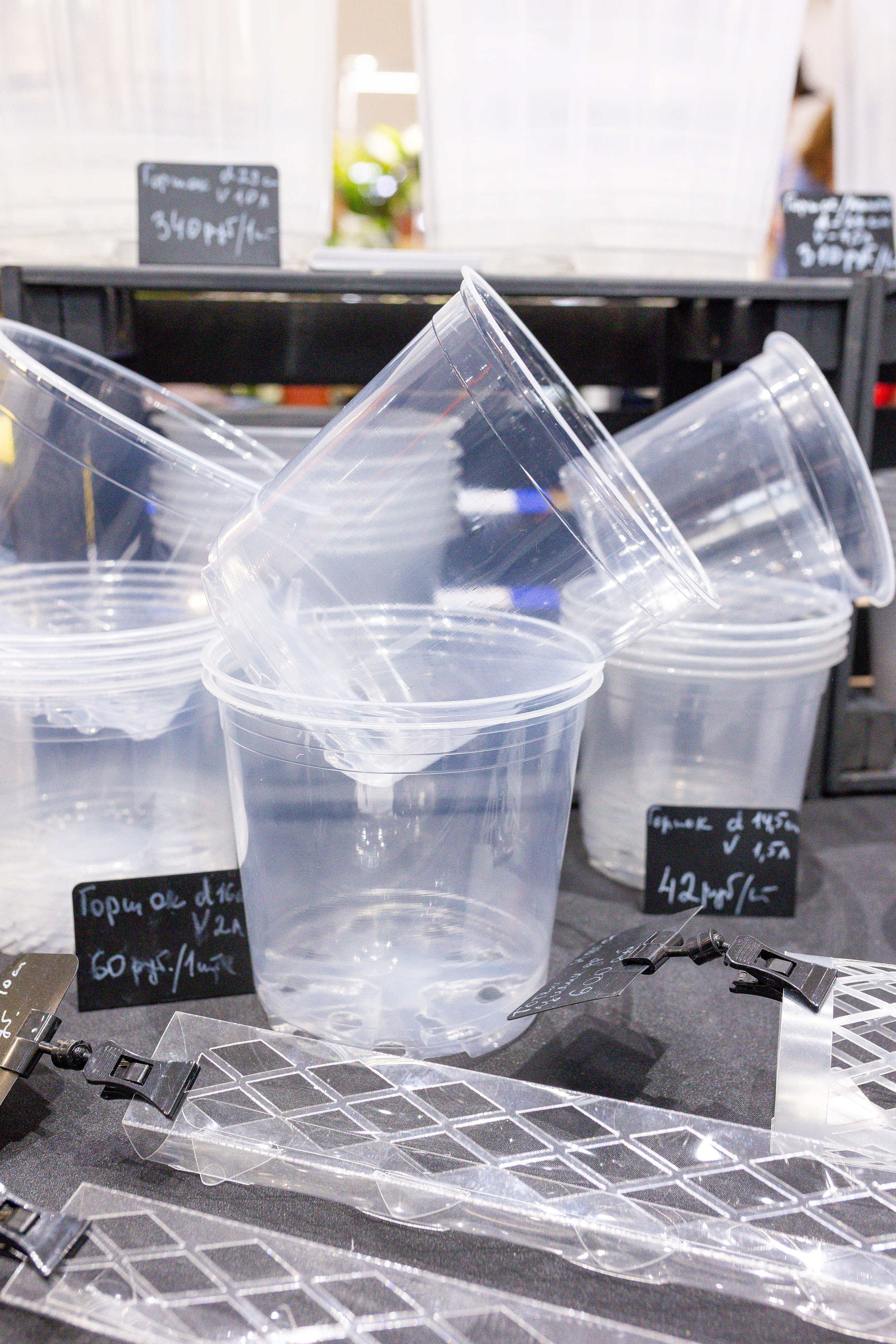 Монстериум 11–12 октября. Александра Куликова фотограф, Москва