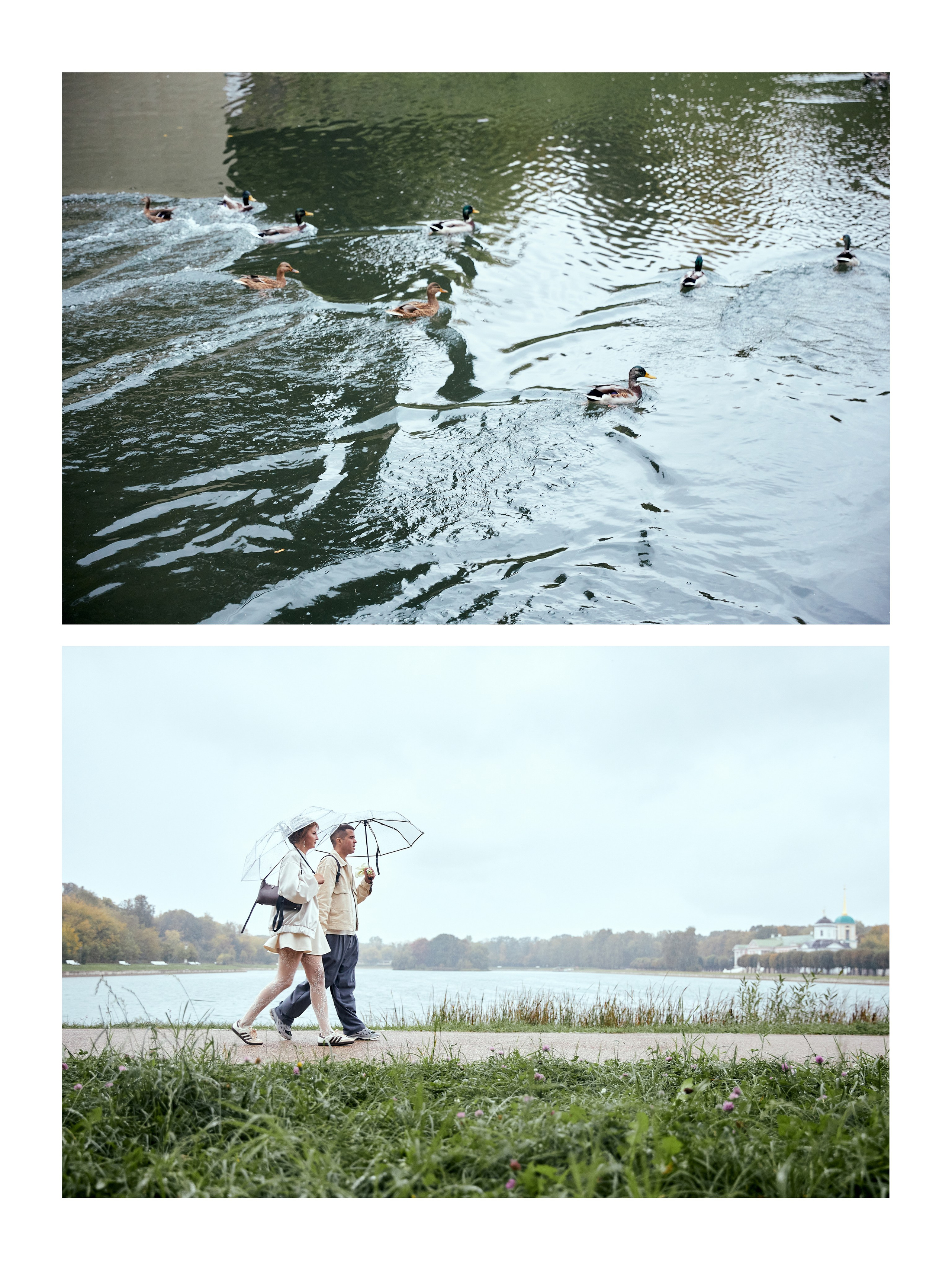 Денис и Таня. Фотограф Савченко Люба. Москва