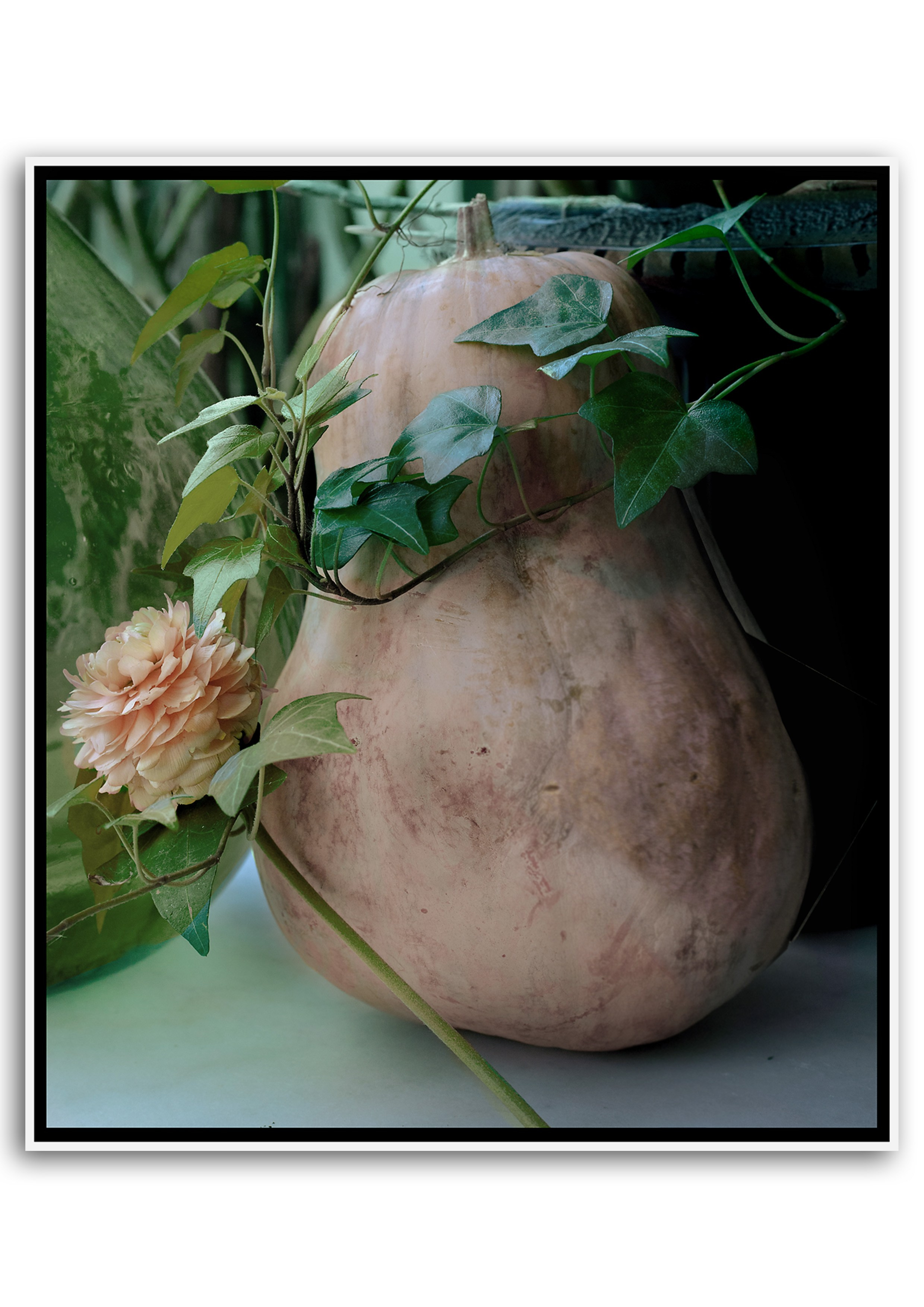 Art. Фотограф Алина Малина