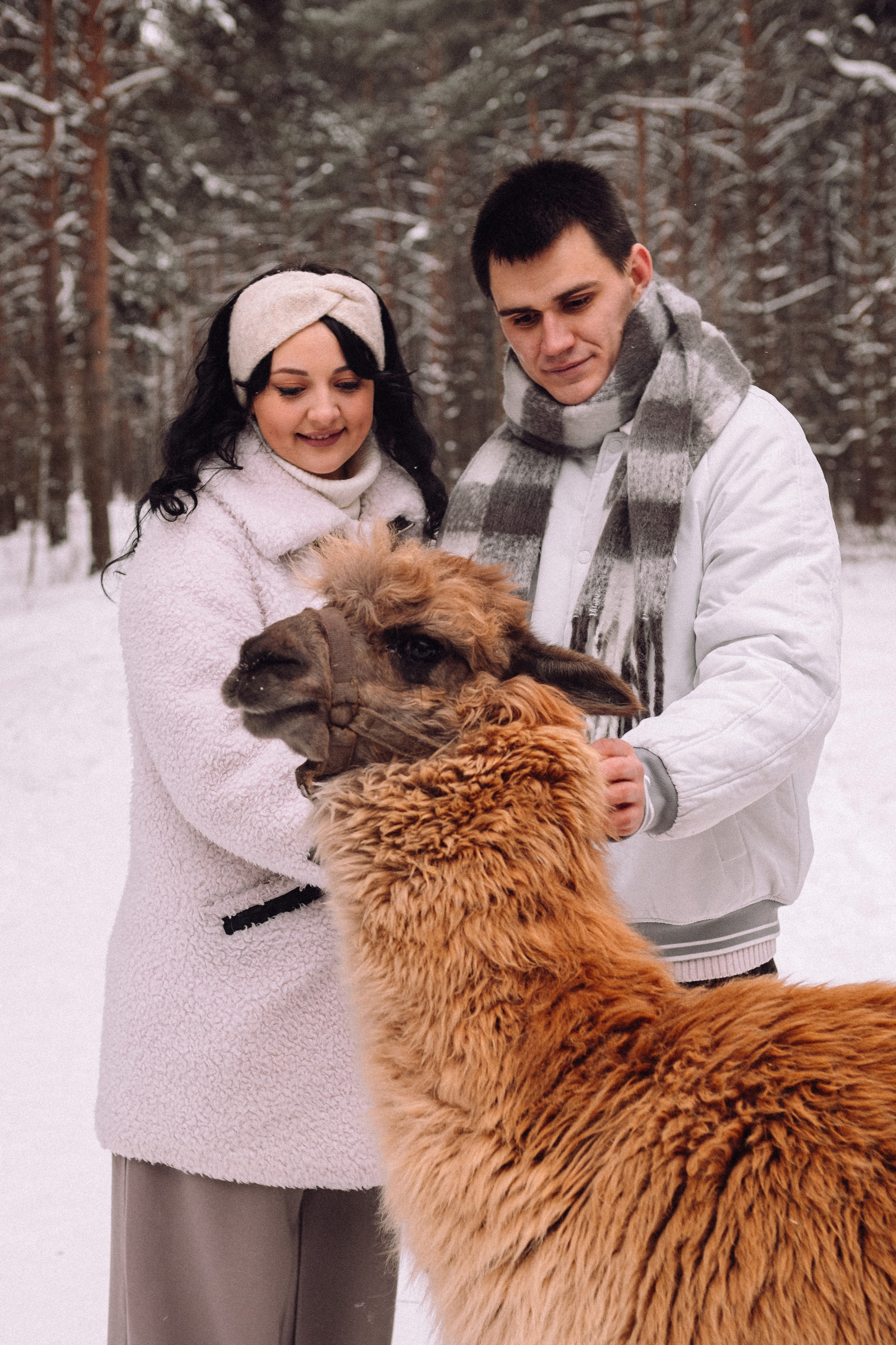 С Альпакой. Фотограф в Санкт-Петербурге Кристина Брянская