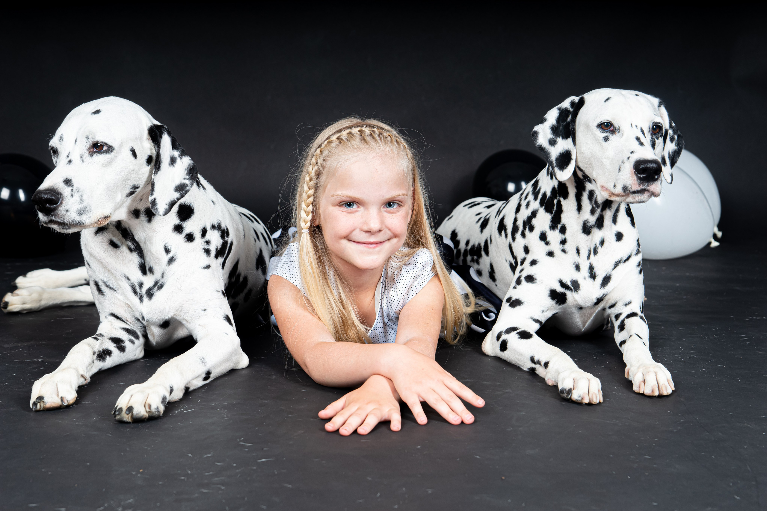 Далматины 2024. Фотограф на Камчатке Анна Моргачёва. Семейные и детские съёмки