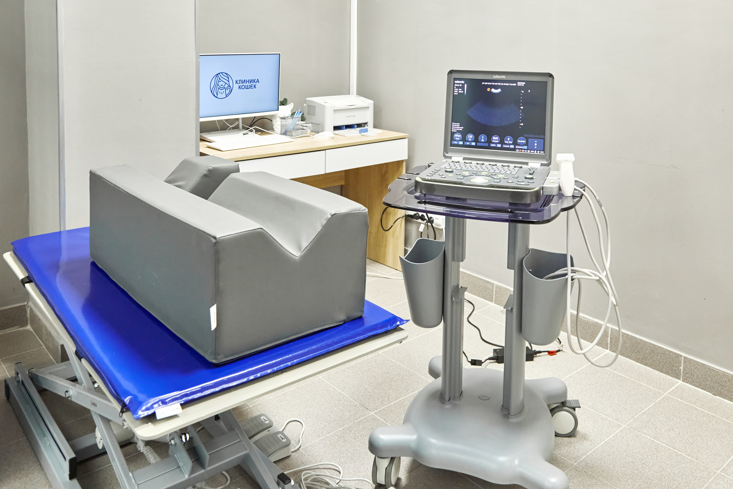 Клиника кошек. Фотограф Анастасия Леонтьева Санкт-Петербург