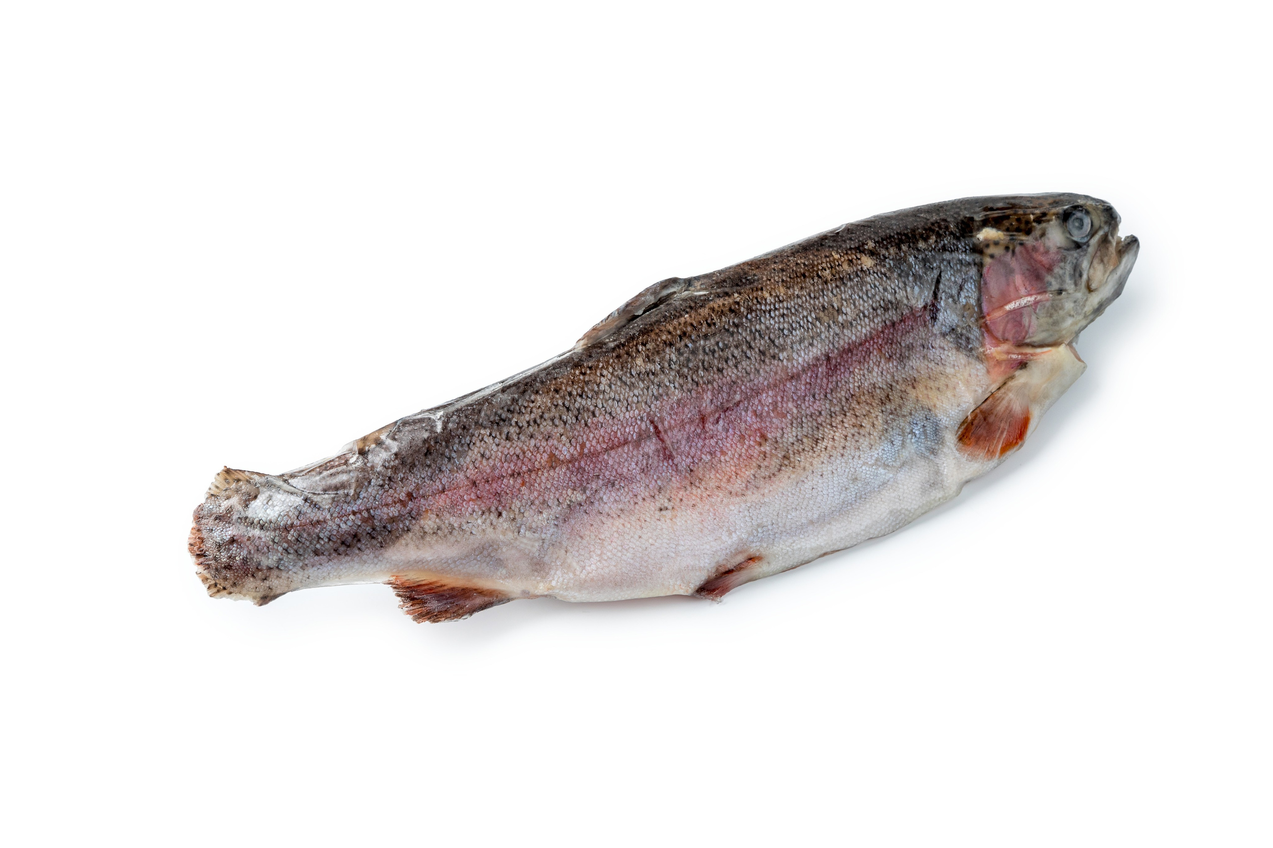 Сырое на белом. Фуд-фотограф Гумеров Ильдар