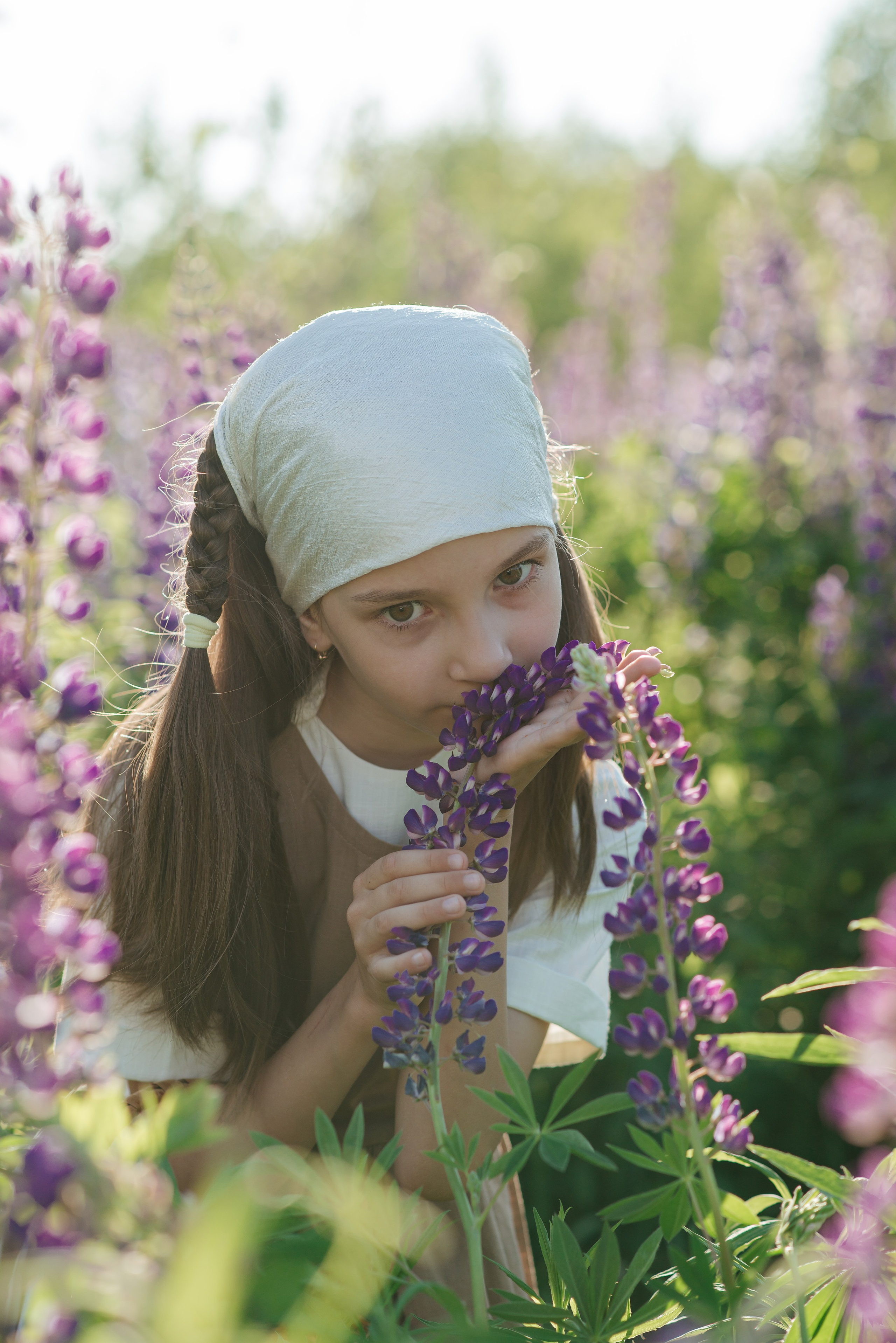 Анонс «Люпиновое поле в городе». Фотограф Екатерина Шереметова Ижевск Сарапул Воткинск
