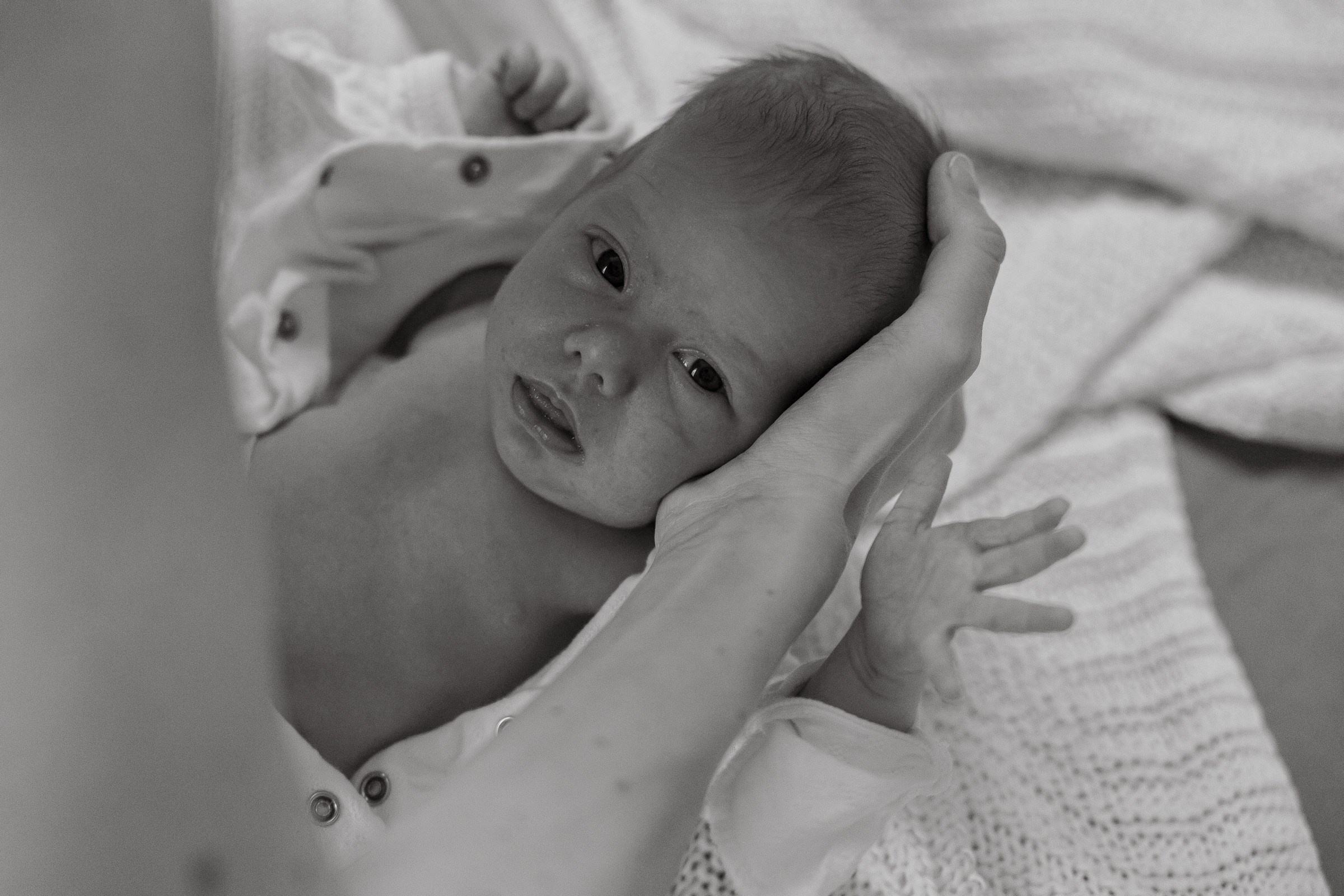 Месяц Александре. Фотограф Москва