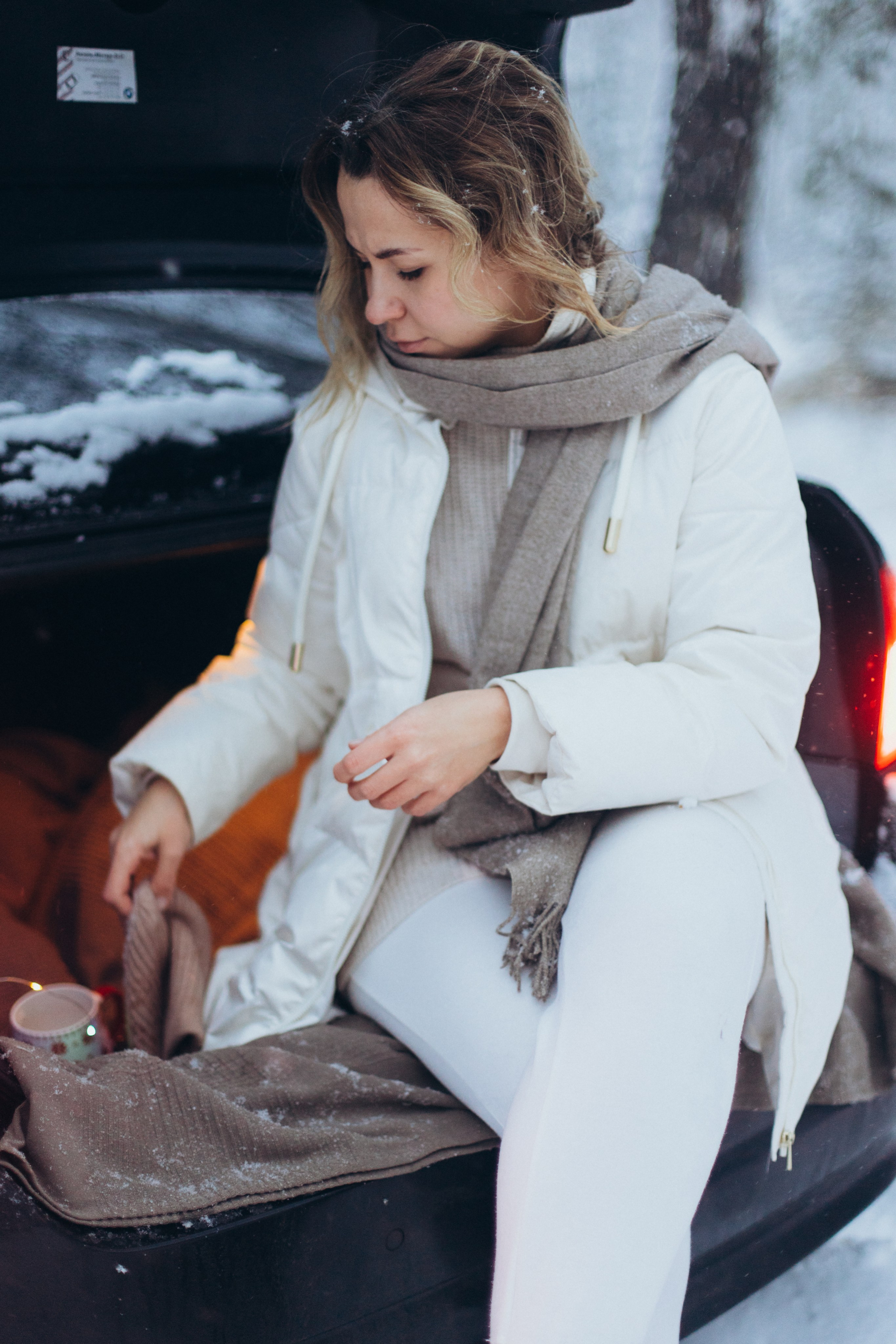 Зимняя история