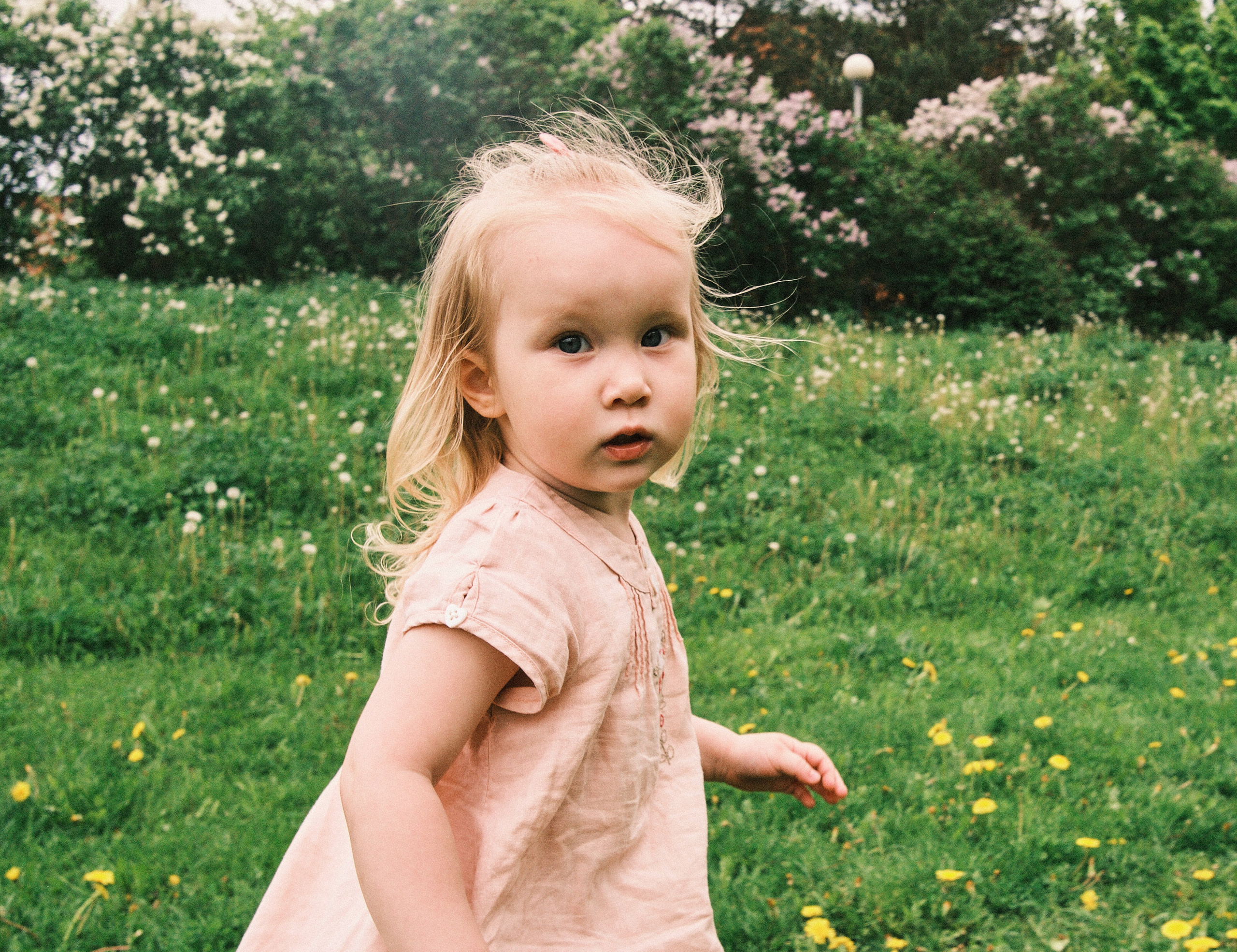 Семейная съёмка (Репортаж)