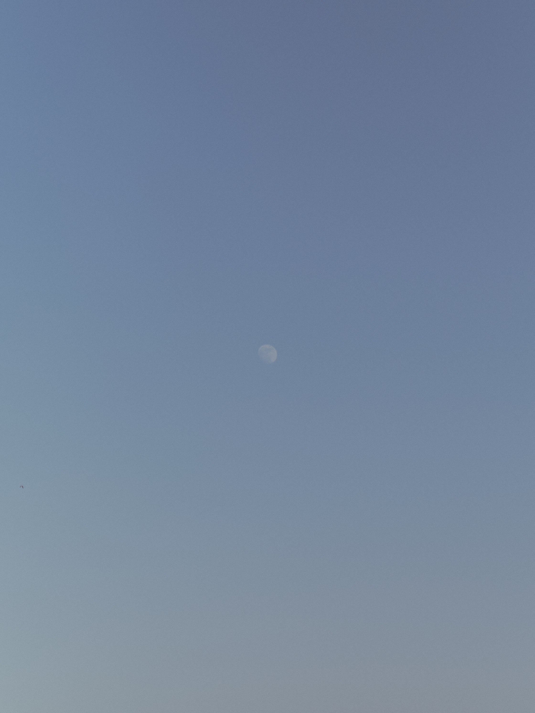 Природа. Jorgis Talè — photographer, kind person, teacher of arts and other mag