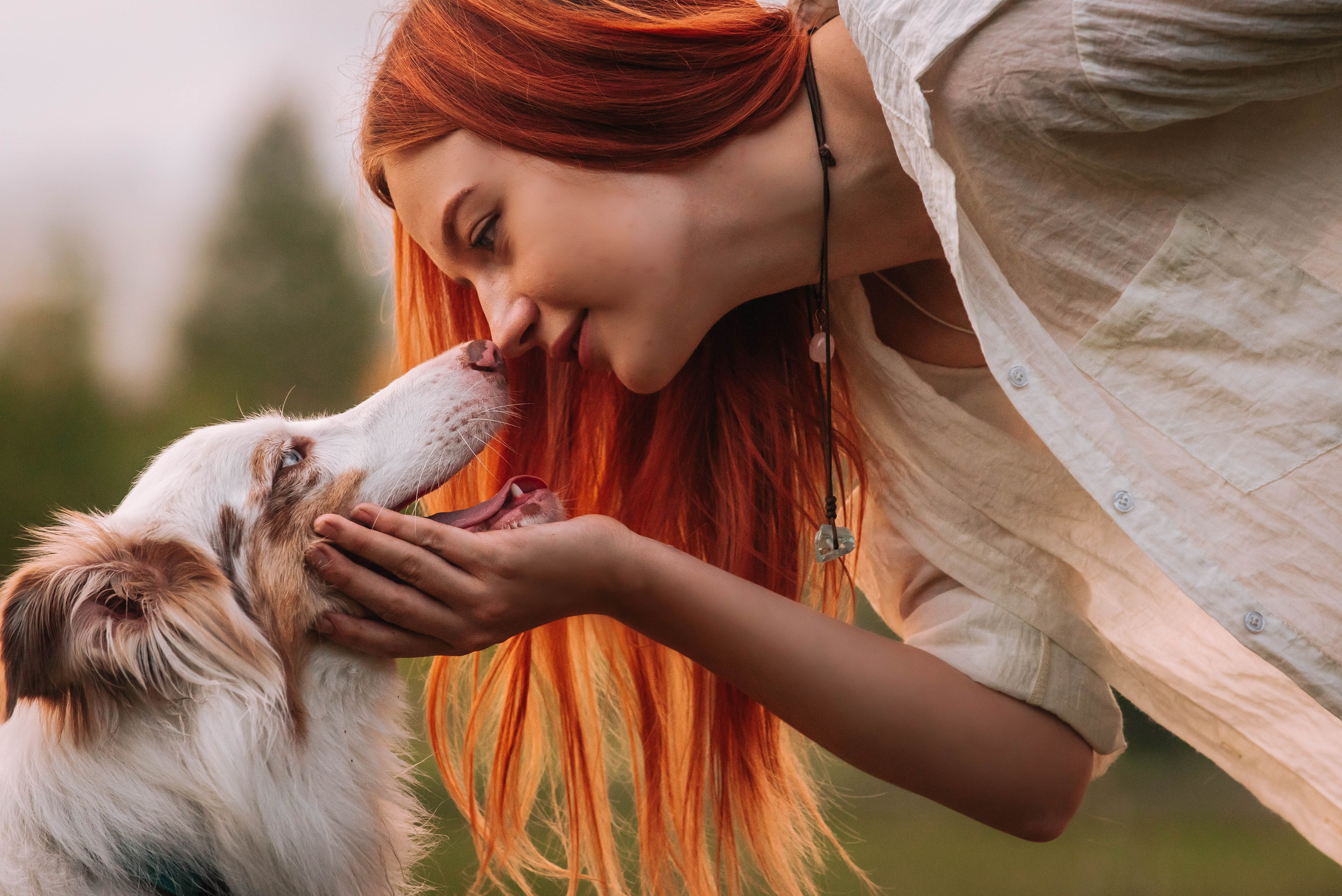 Лиза и Айви. Главная