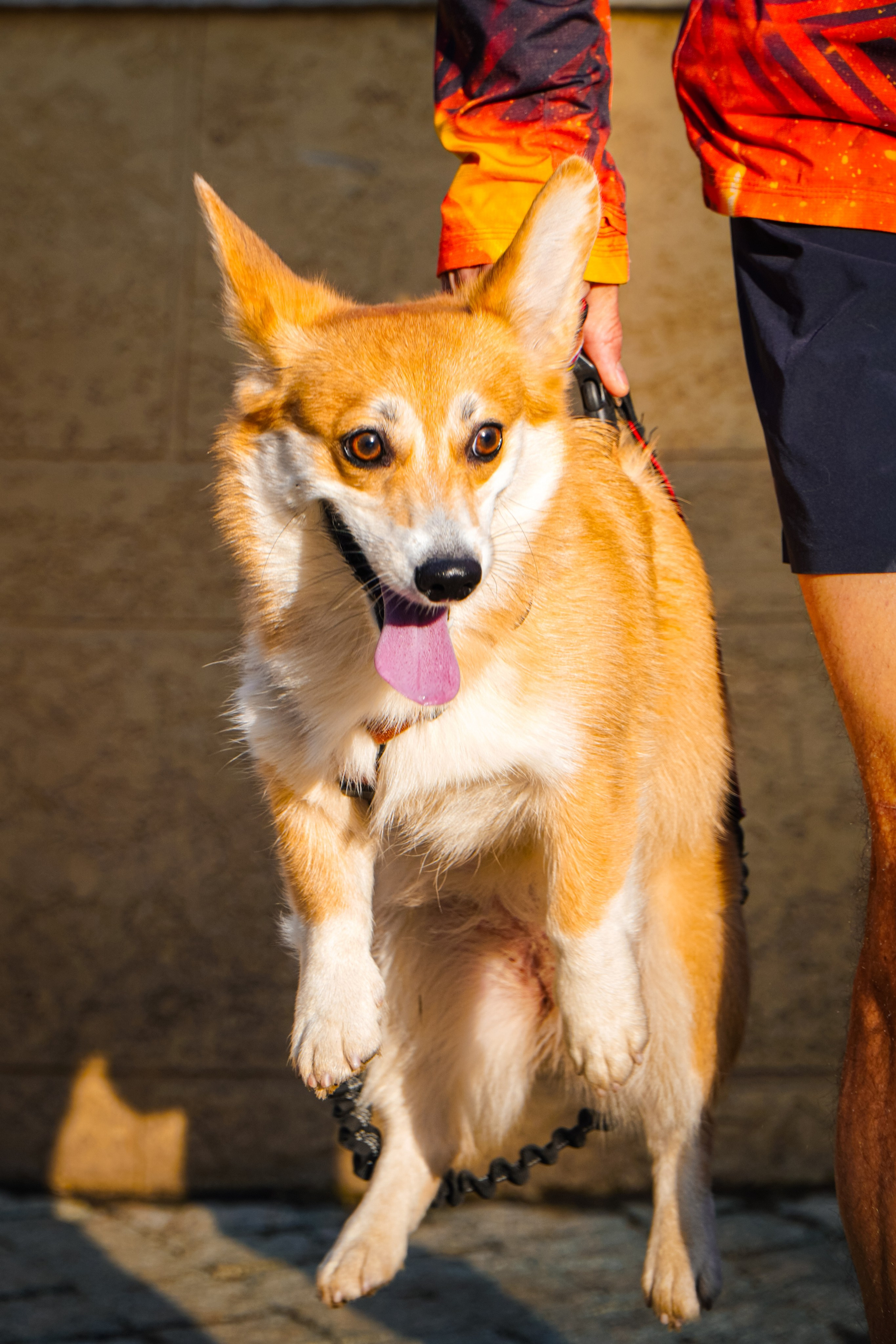 Капибара Кусково & RHR. Роман Капилюшов. Бег. Фото. Видео. г. Люберцы