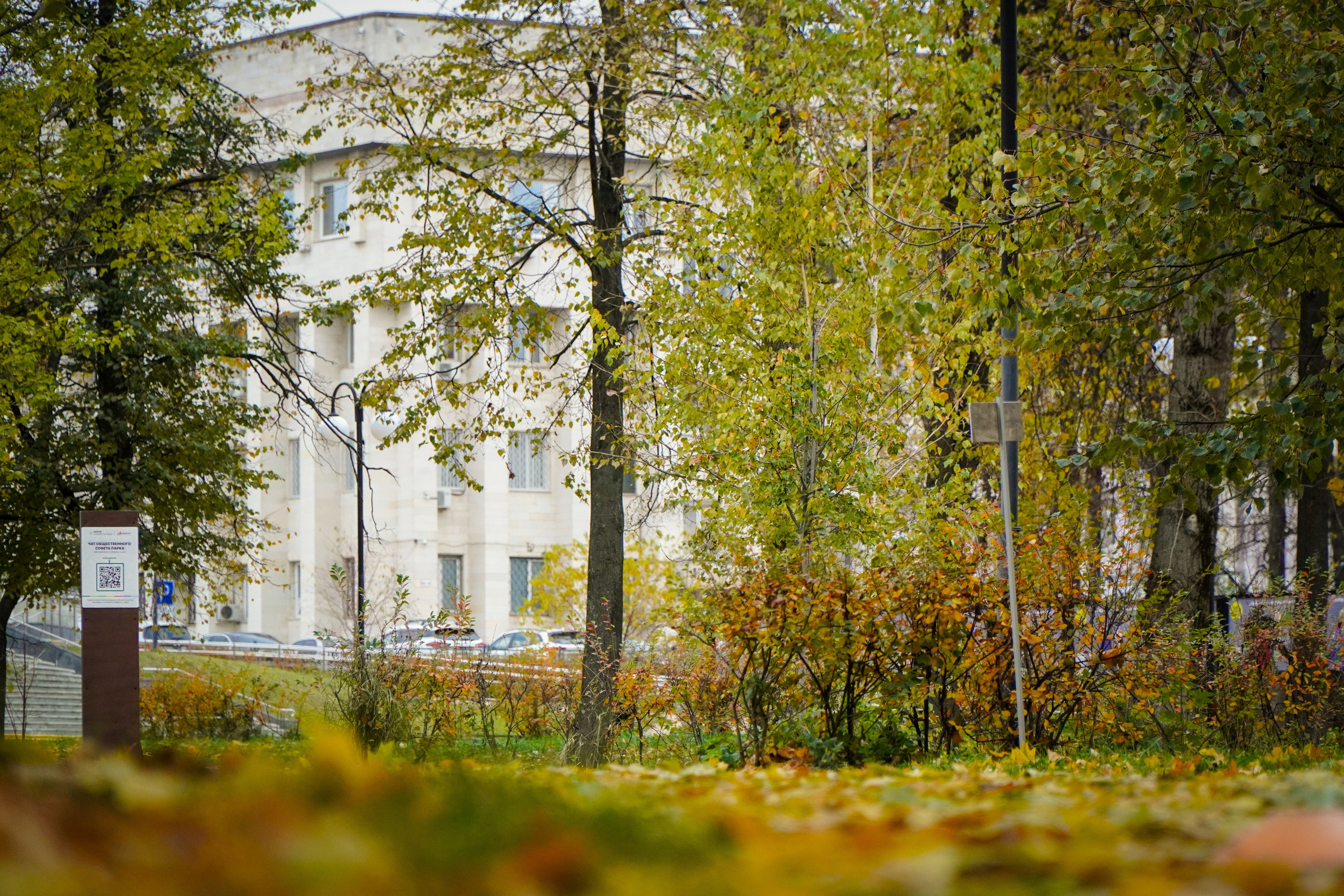 5 вёрст Наташинский 19 октября 2024. Роман Капилюшов. Бег. Фото. Видео. г. Люберцы