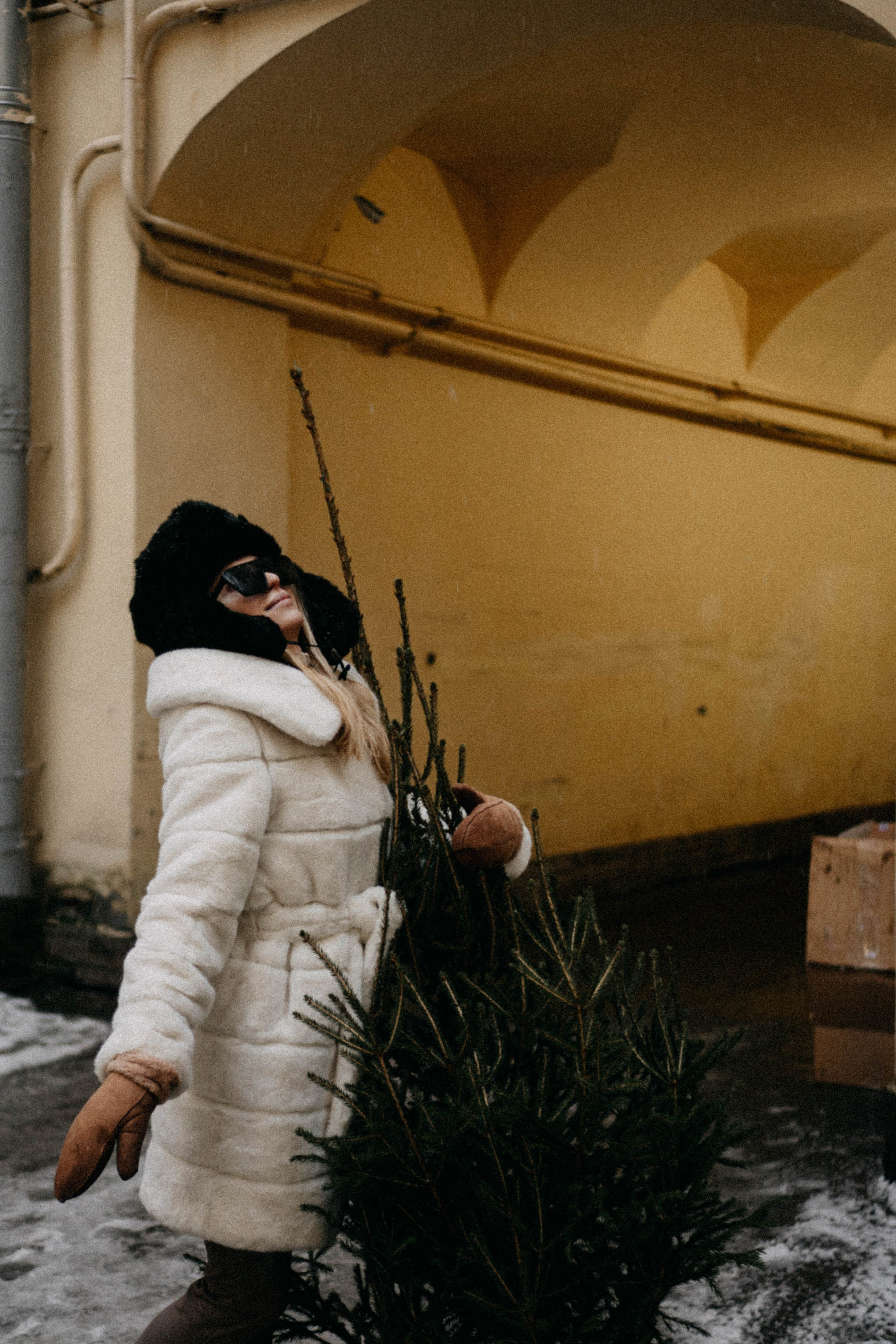 Новогодняя. Профессиональный фотограф, Санкт-Петербург — Виктория Богомолова