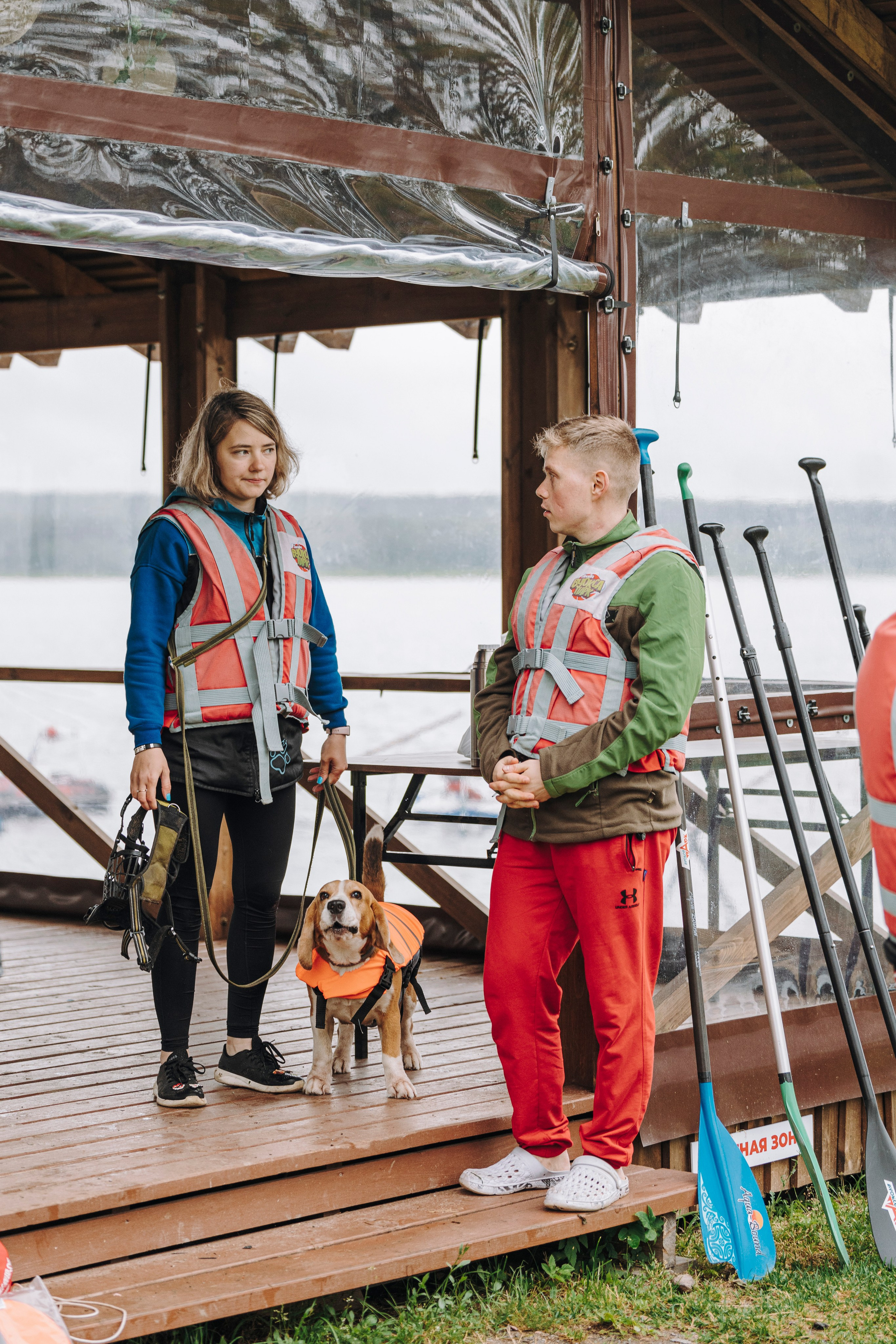 Катание на сапах с собаками. Фотограф анималист в Спб недорого Олеся Майорова