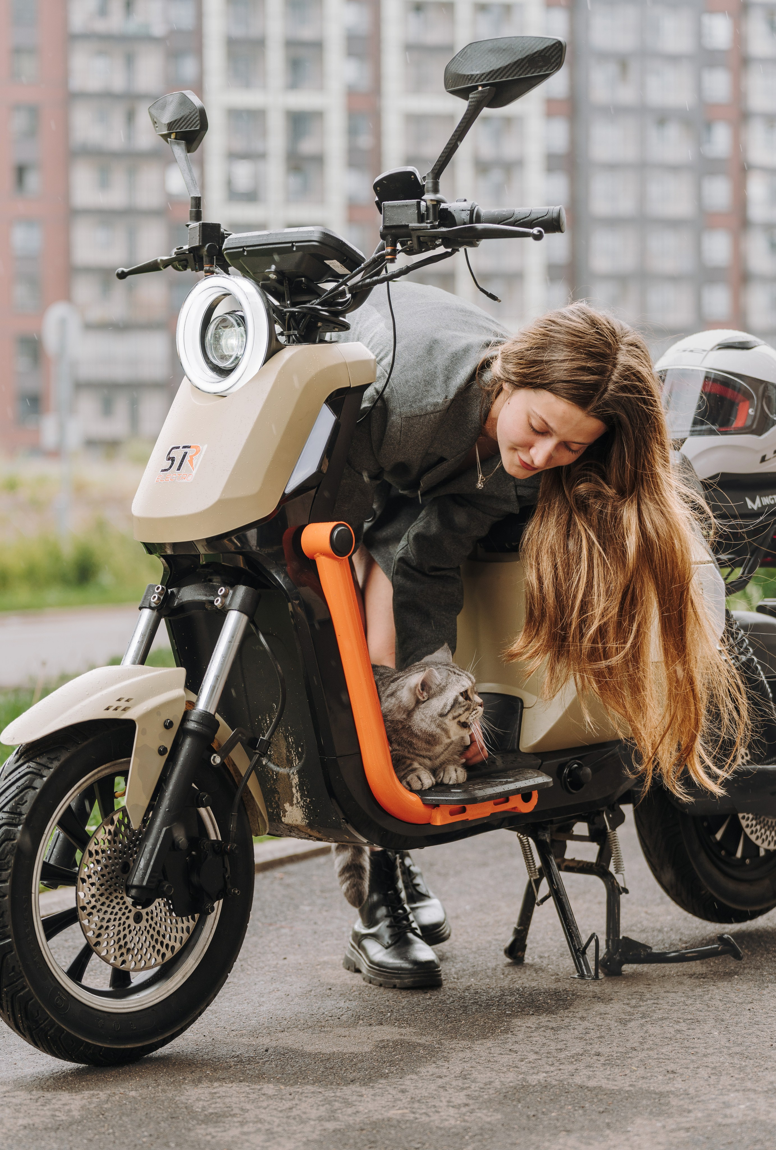 Портфолио кошки, фотограф Олеся Майрова. Фотограф анималист в Спб недорого Олеся Майорова