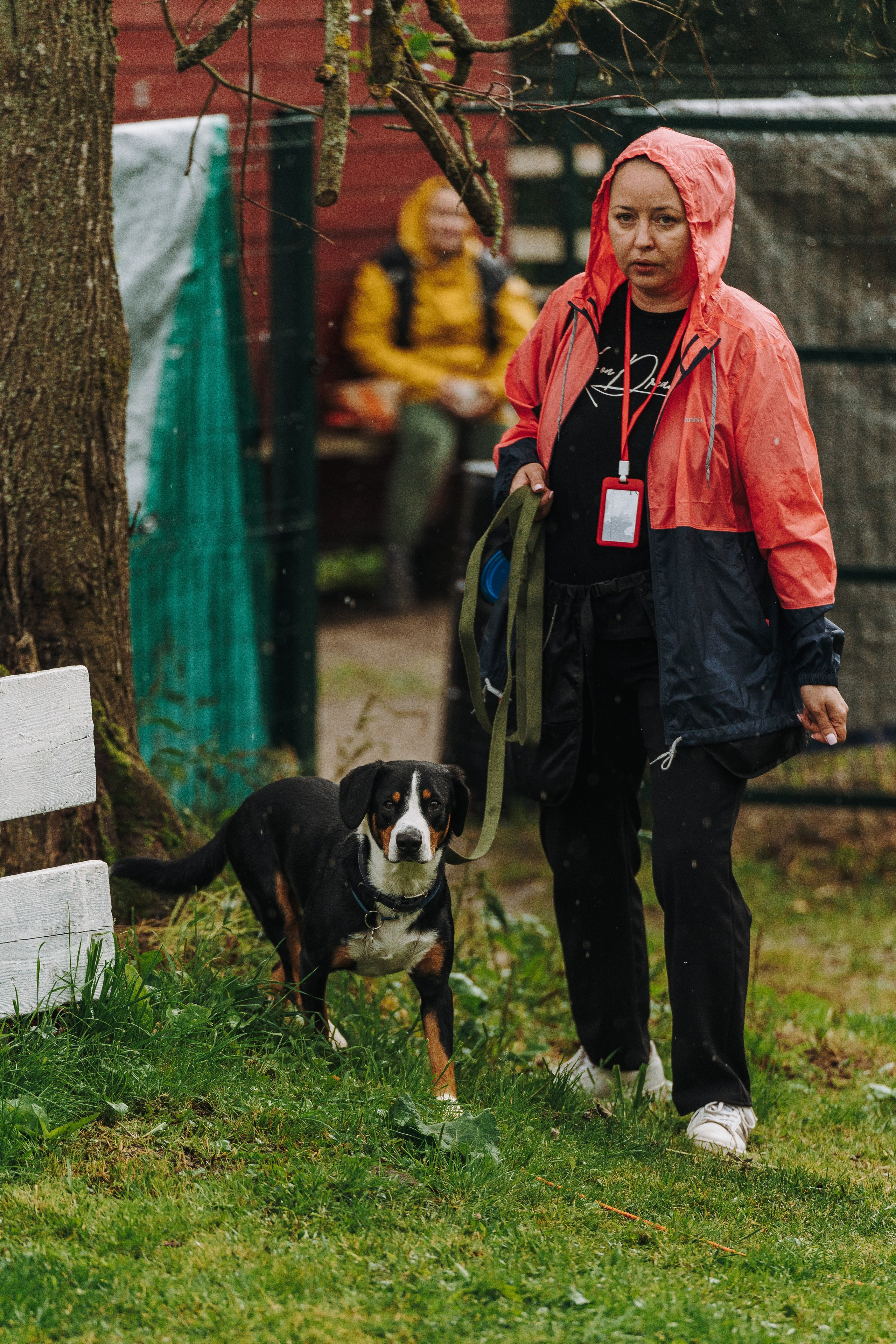 Соревнования по ноузворку в Новожилово. Фотограф анималист в Спб недорого Олеся Майорова