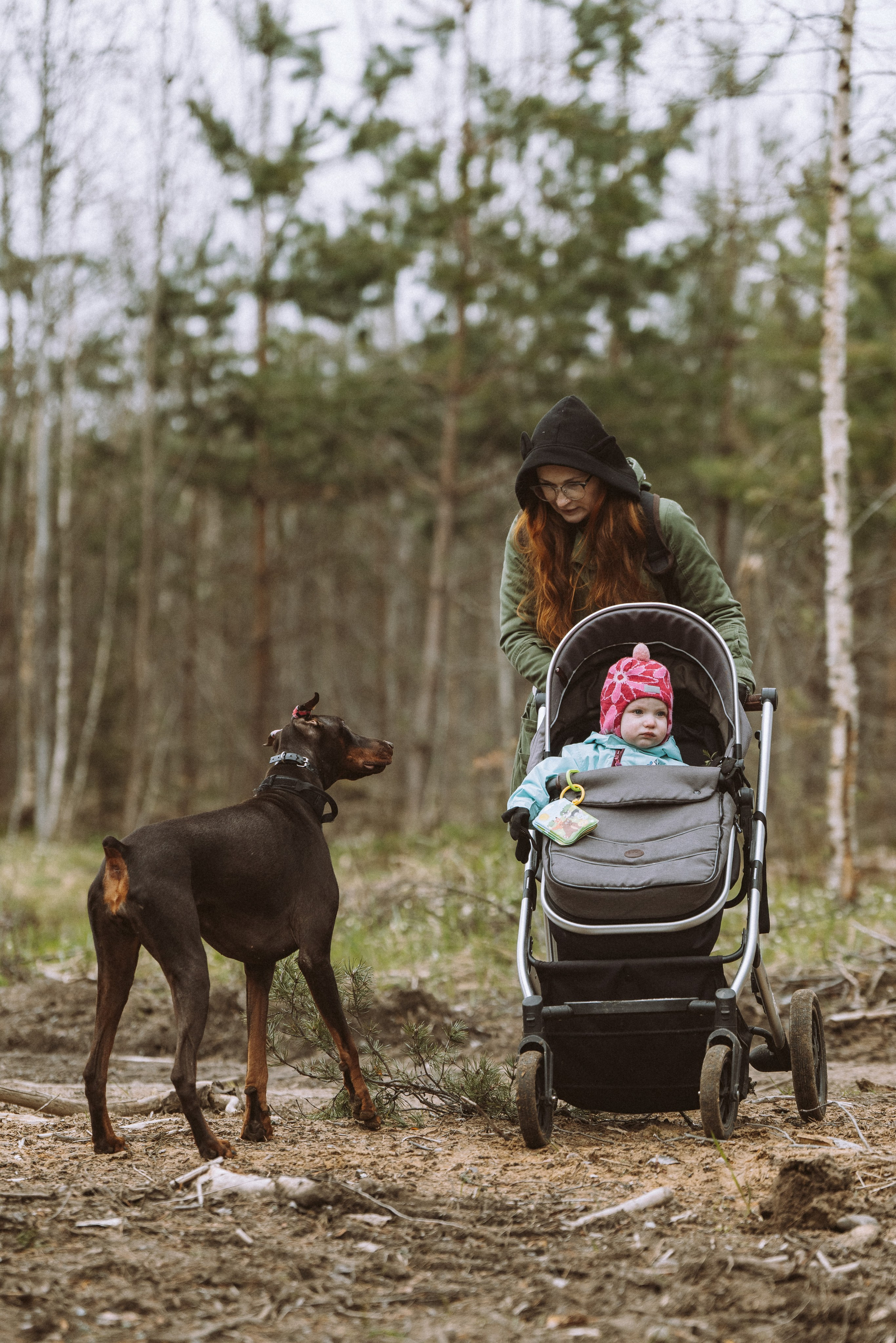 Дог трекинг к финскому хутору. Фотограф анималист в Спб недорого Олеся Майорова