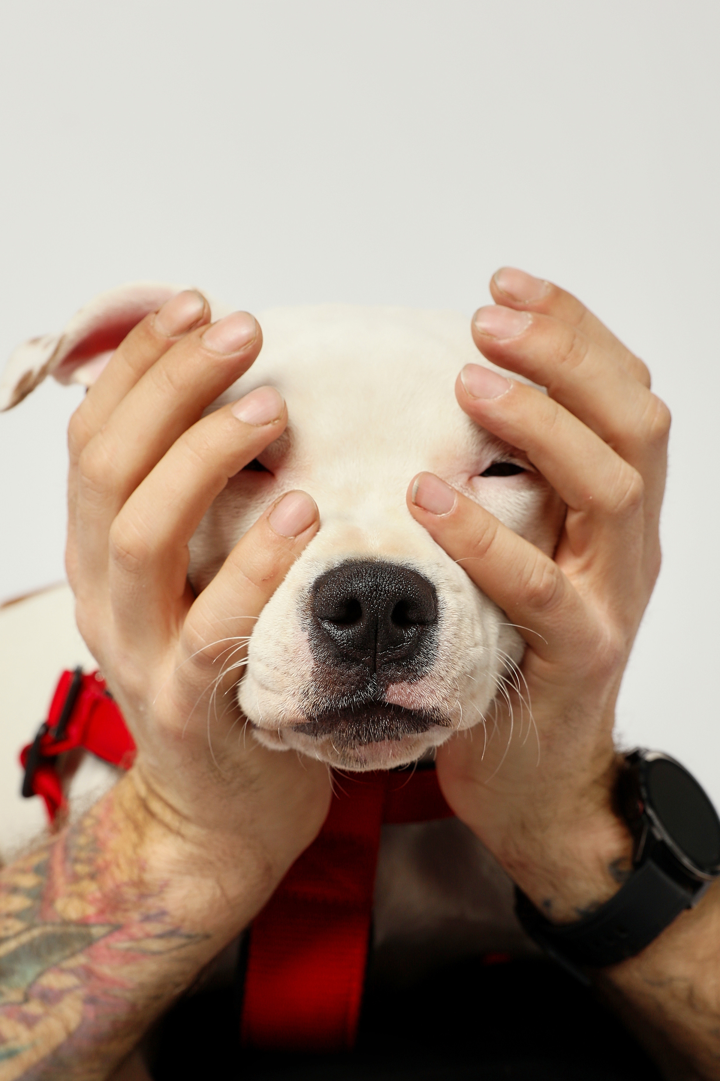 Фотосессия с ЛУной. Семейный фотограф в Москве Вера Гук