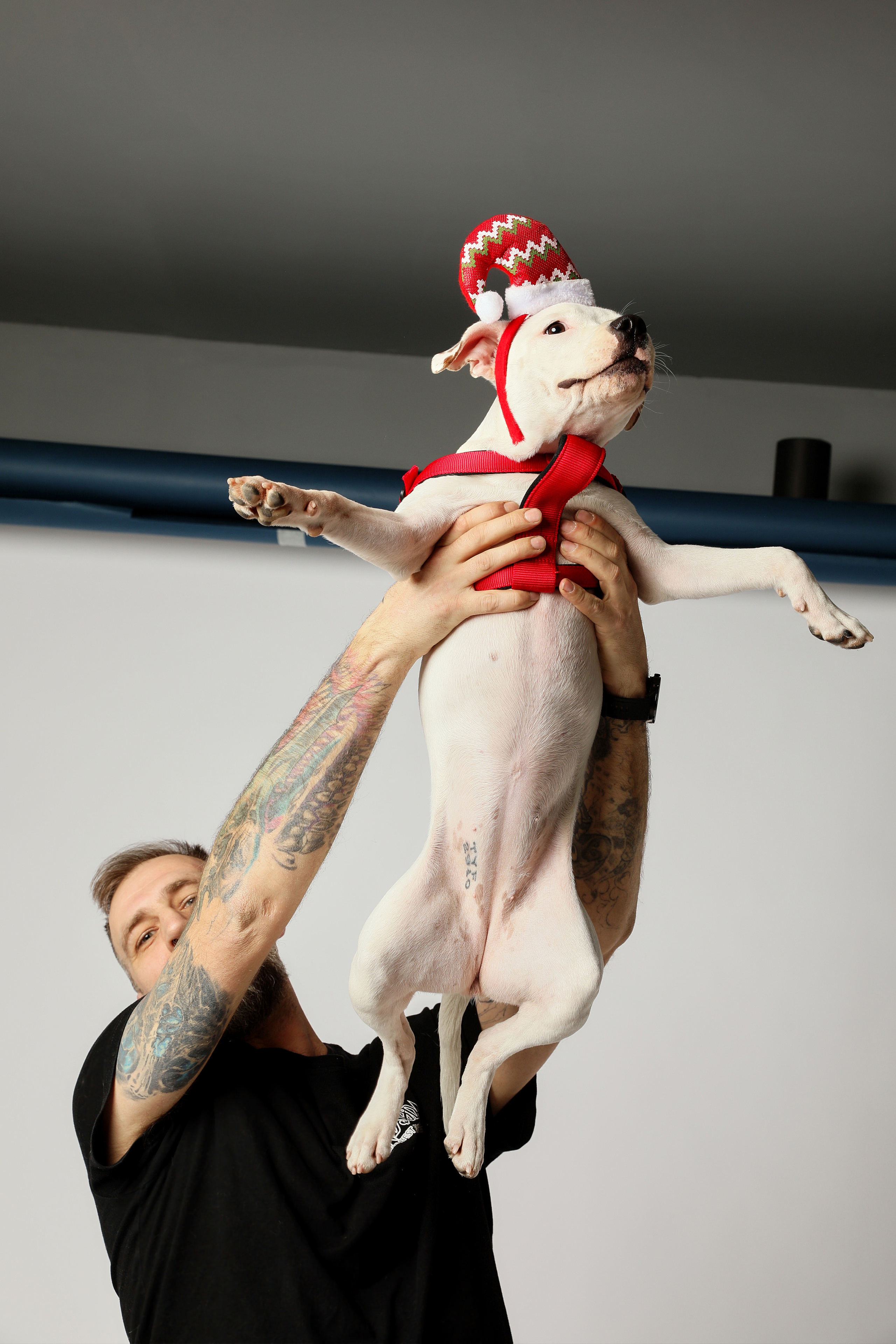 Фотосессия с ЛУной. Семейный фотограф в Москве Вера Гук