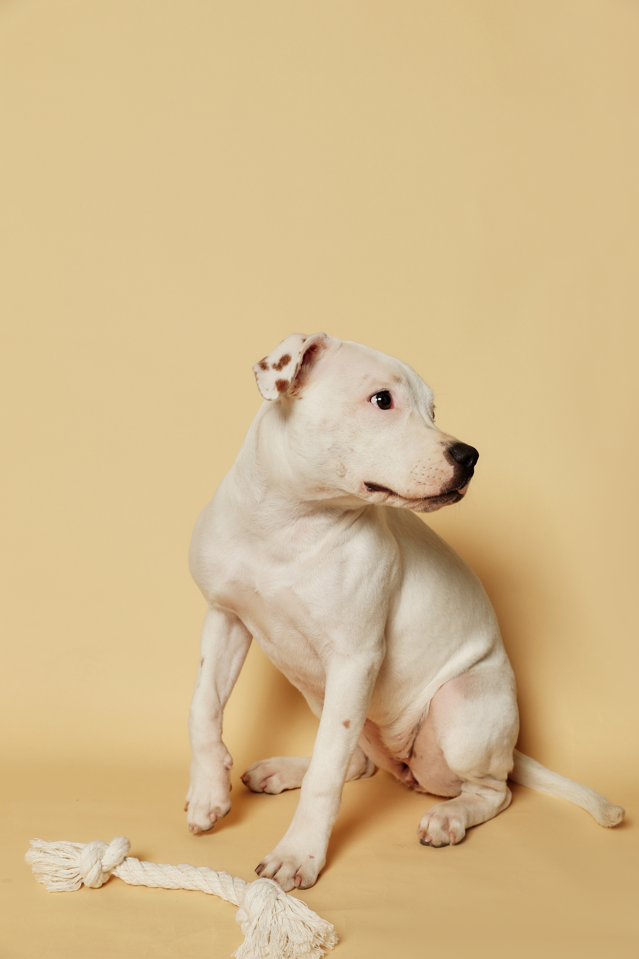 Фотосессия с ЛУной. Семейный фотограф в Москве Вера Гук