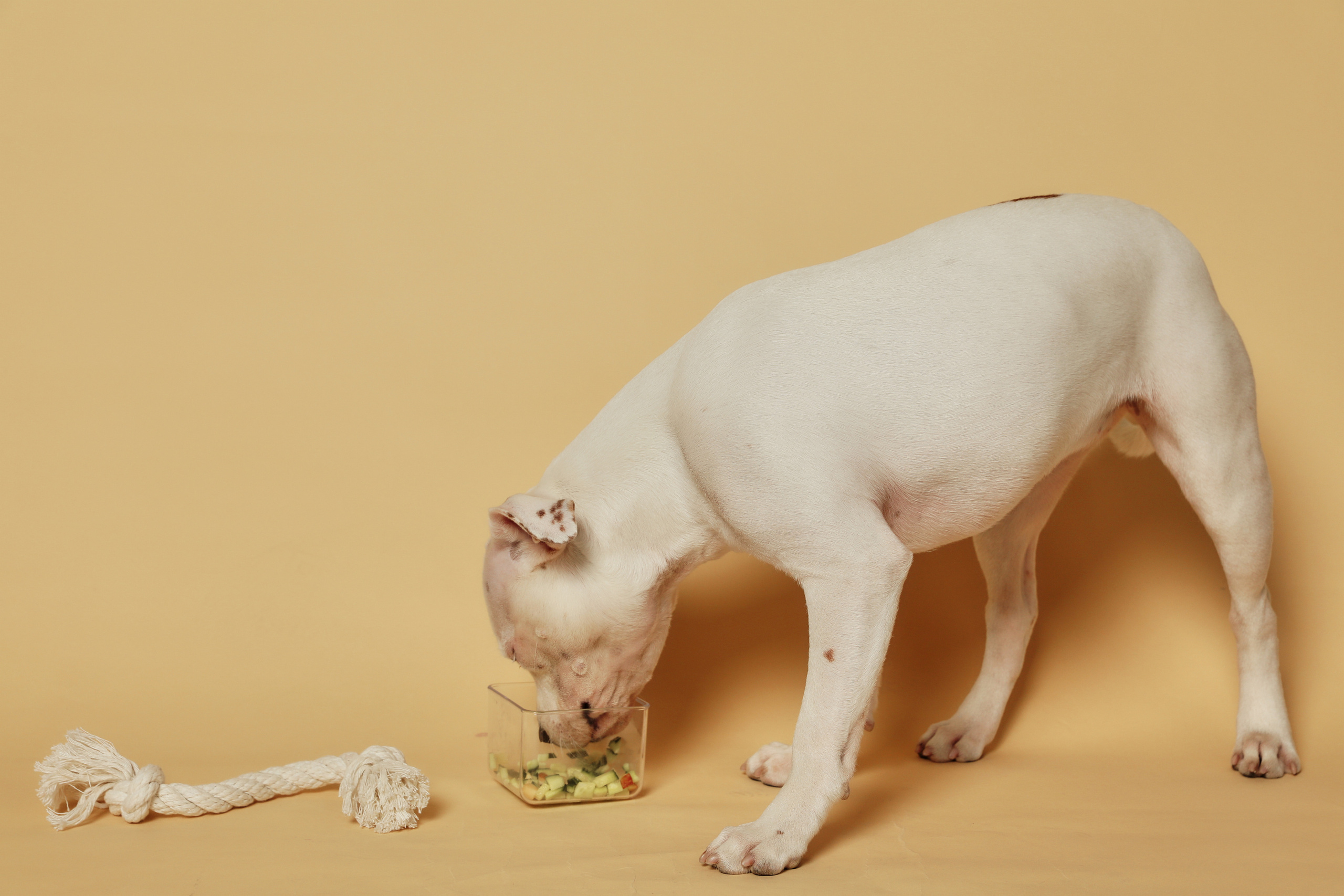 Фотосессия с ЛУной. Семейный фотограф в Москве Вера Гук