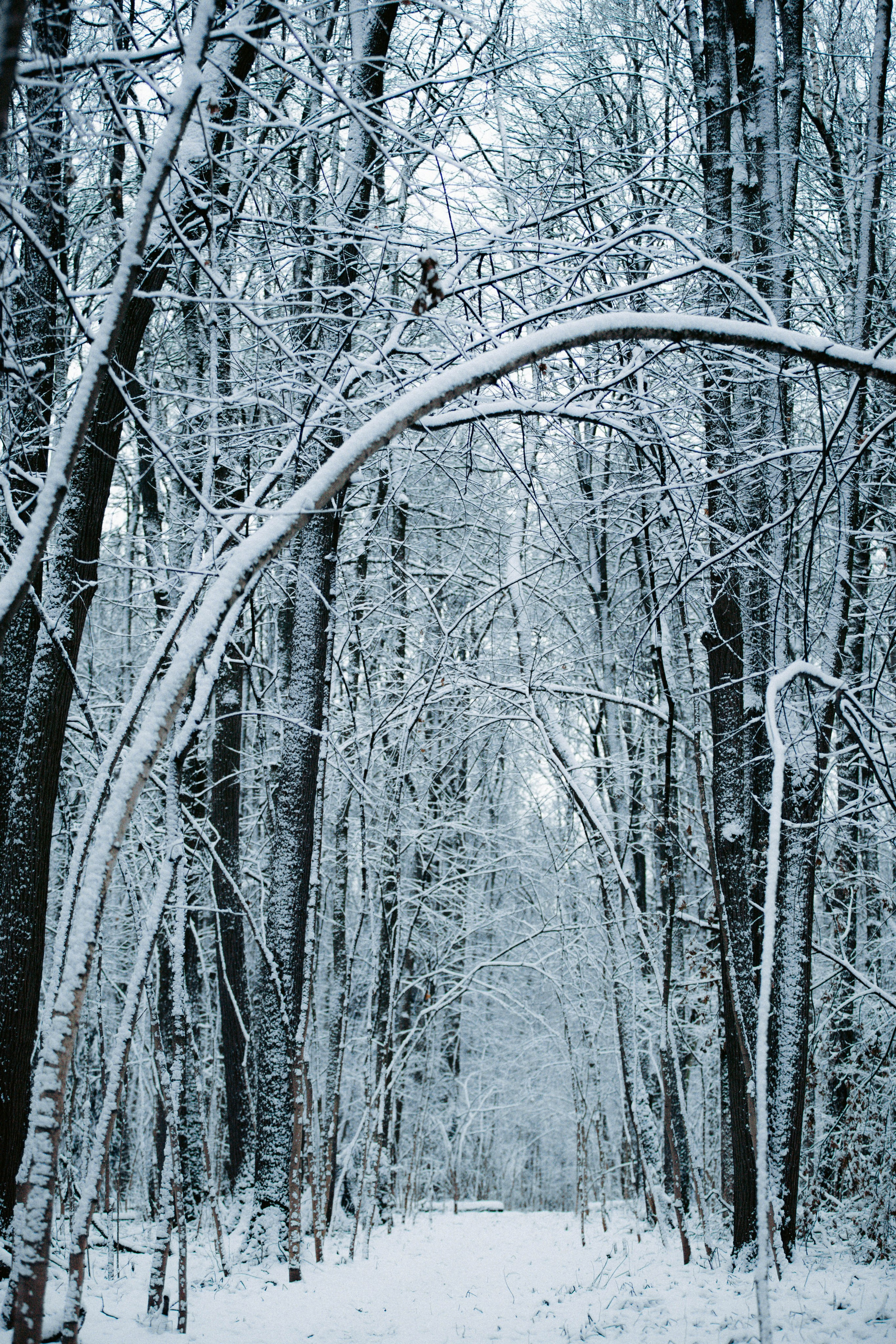 Марафон у дома_Бунино. Александра Мельниченко/ Бегающий фотограф