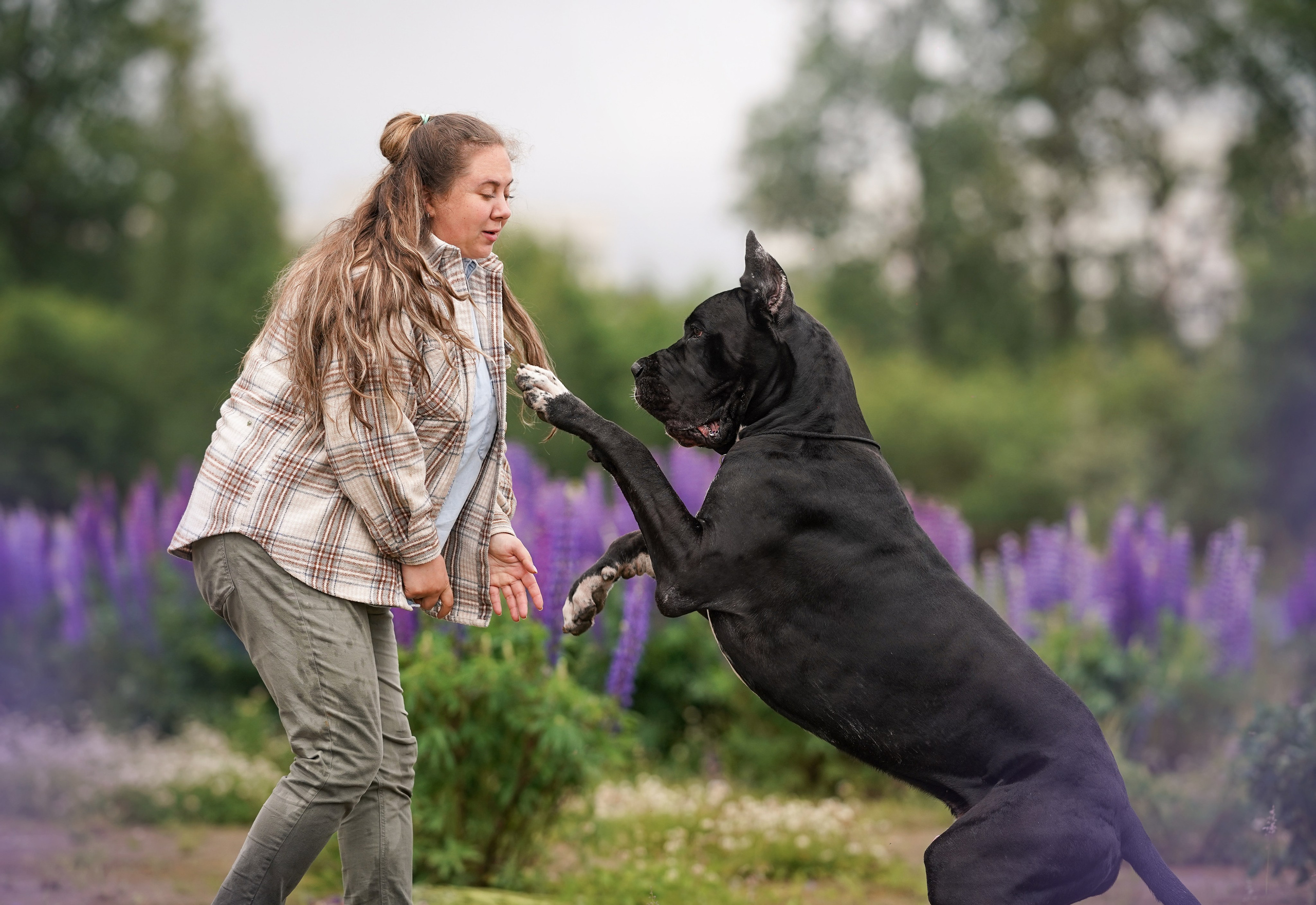 Вика и Трофей люпины. Фотограф-анималист в Санкт-Петербурге Яна Мартынова