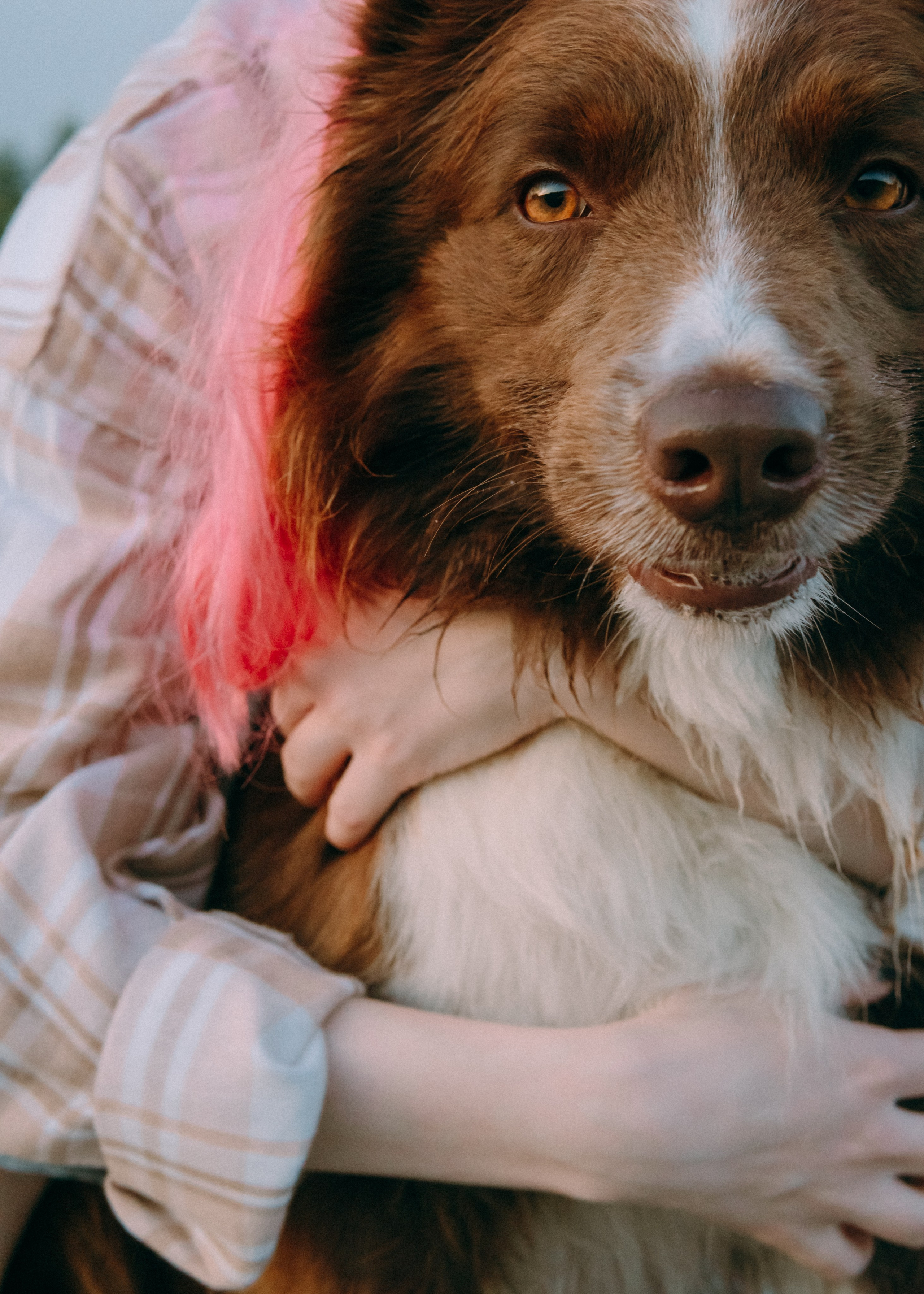 Виолетта, Лила и Питер. Фотограф-анималист Ксения Воробьева, Москва