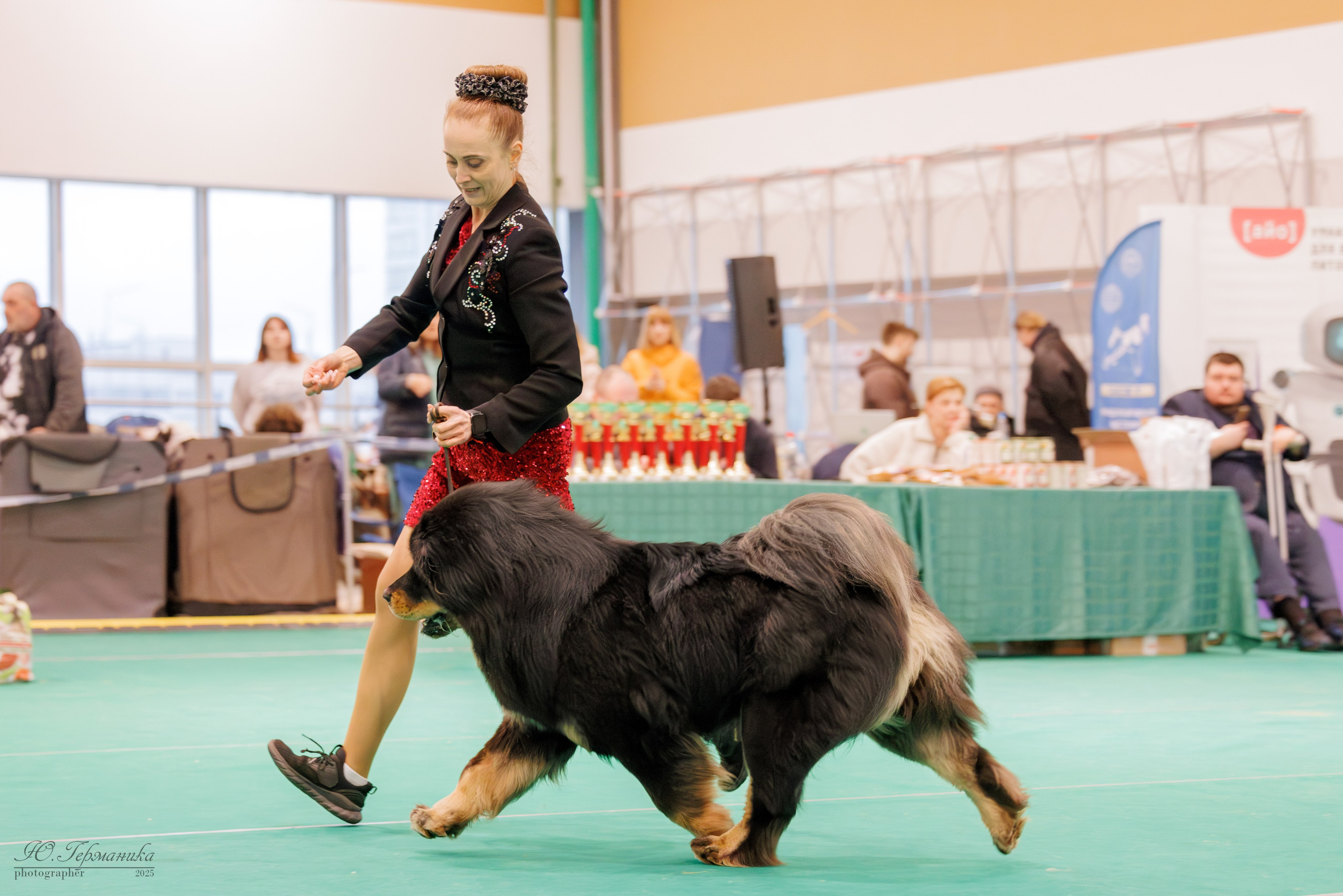 Минск 1-2.03.2025. Фотограф-анималист Юлия Германика