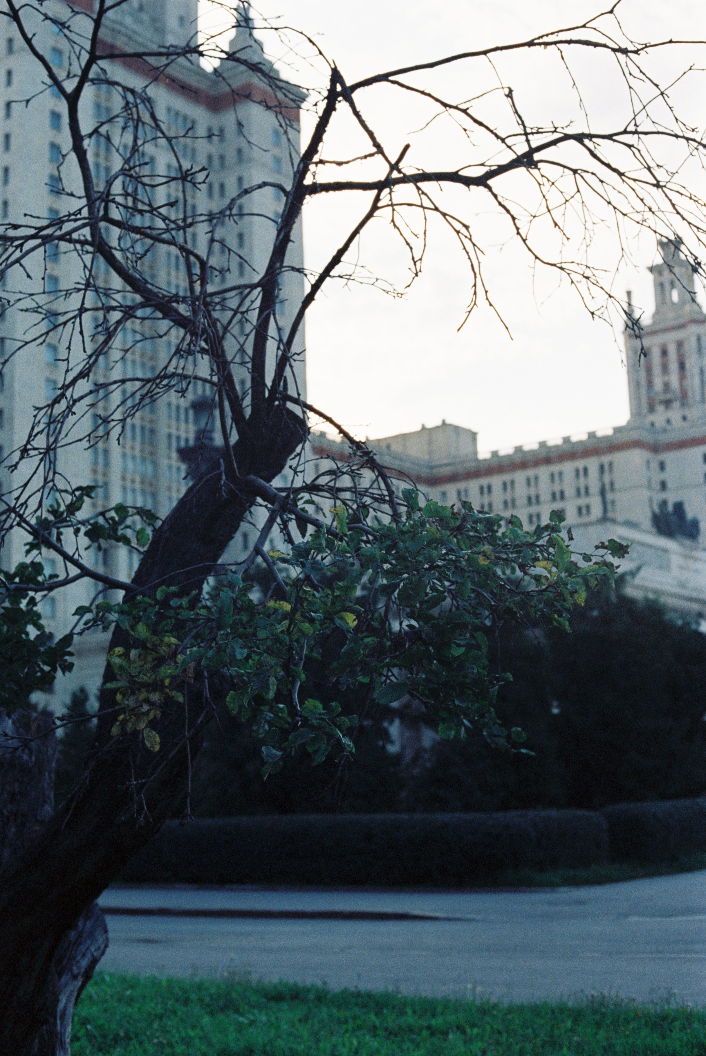 Плёночные фотосессии в Уфе. Свадебный и семейный фотограф в Уфе и Башкирии Дмитрий Коломеец