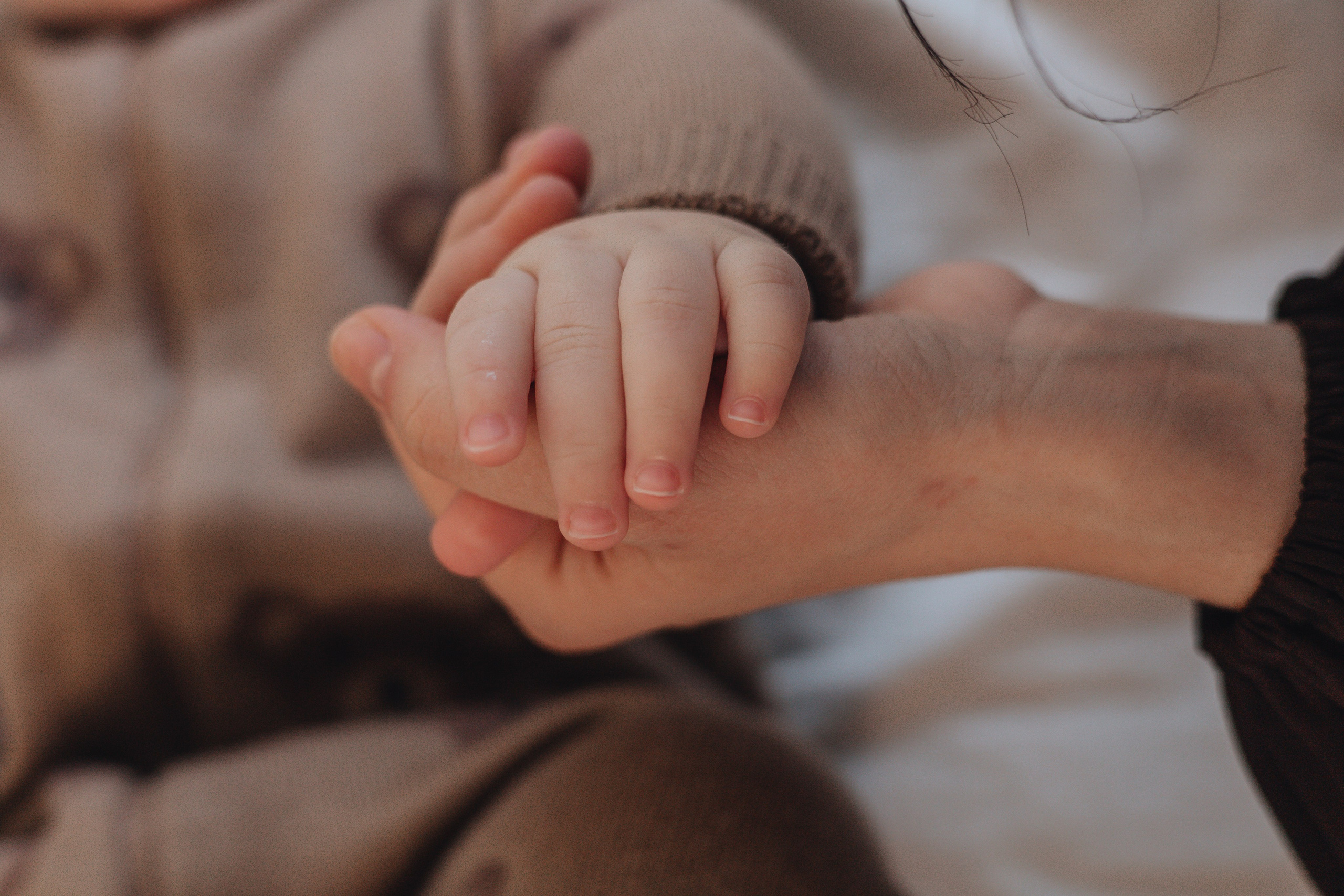 Семейные. Фотограф новорожденных Новосибирск