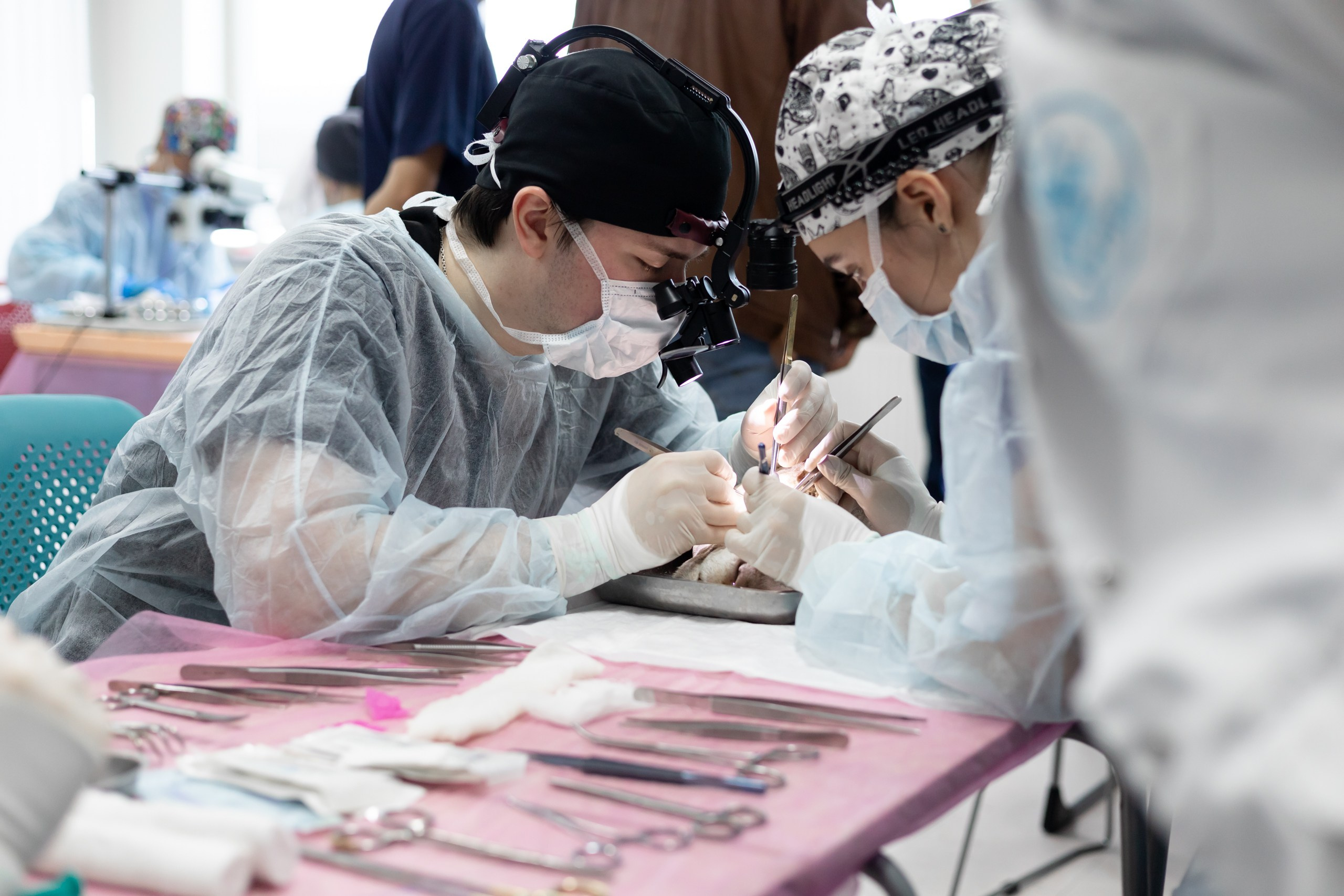 III Дальневосточная региональная олимпиада по детской хирургии. Главная