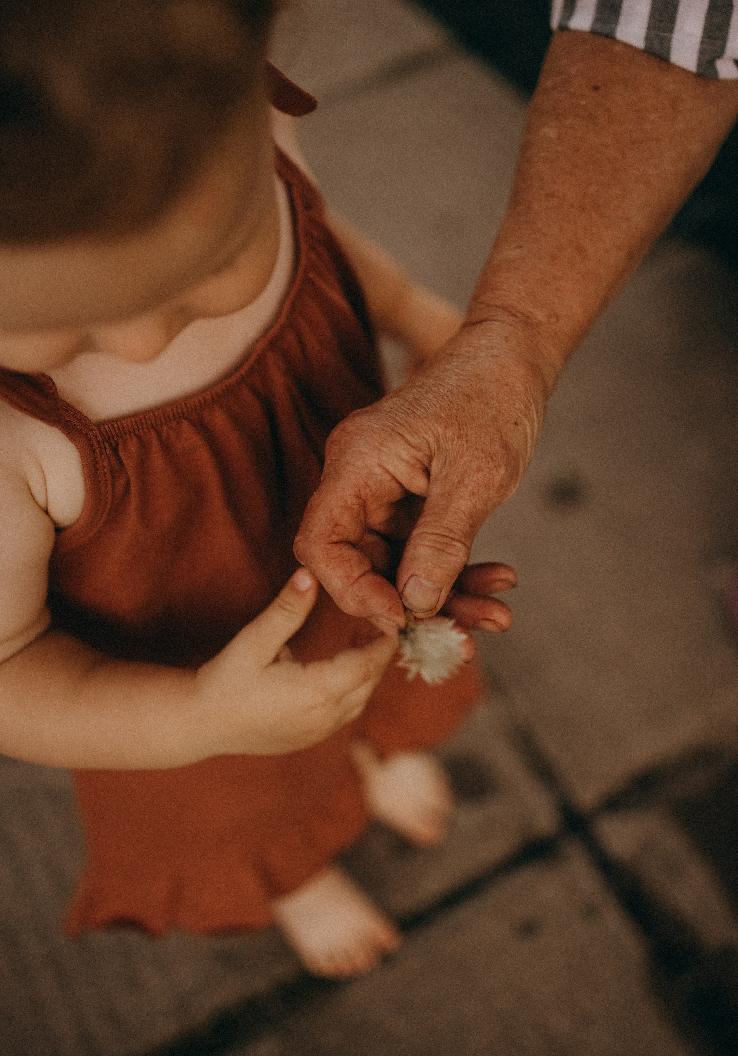 Бабушка и Есения. Семейный фотограф Александра Тарасова