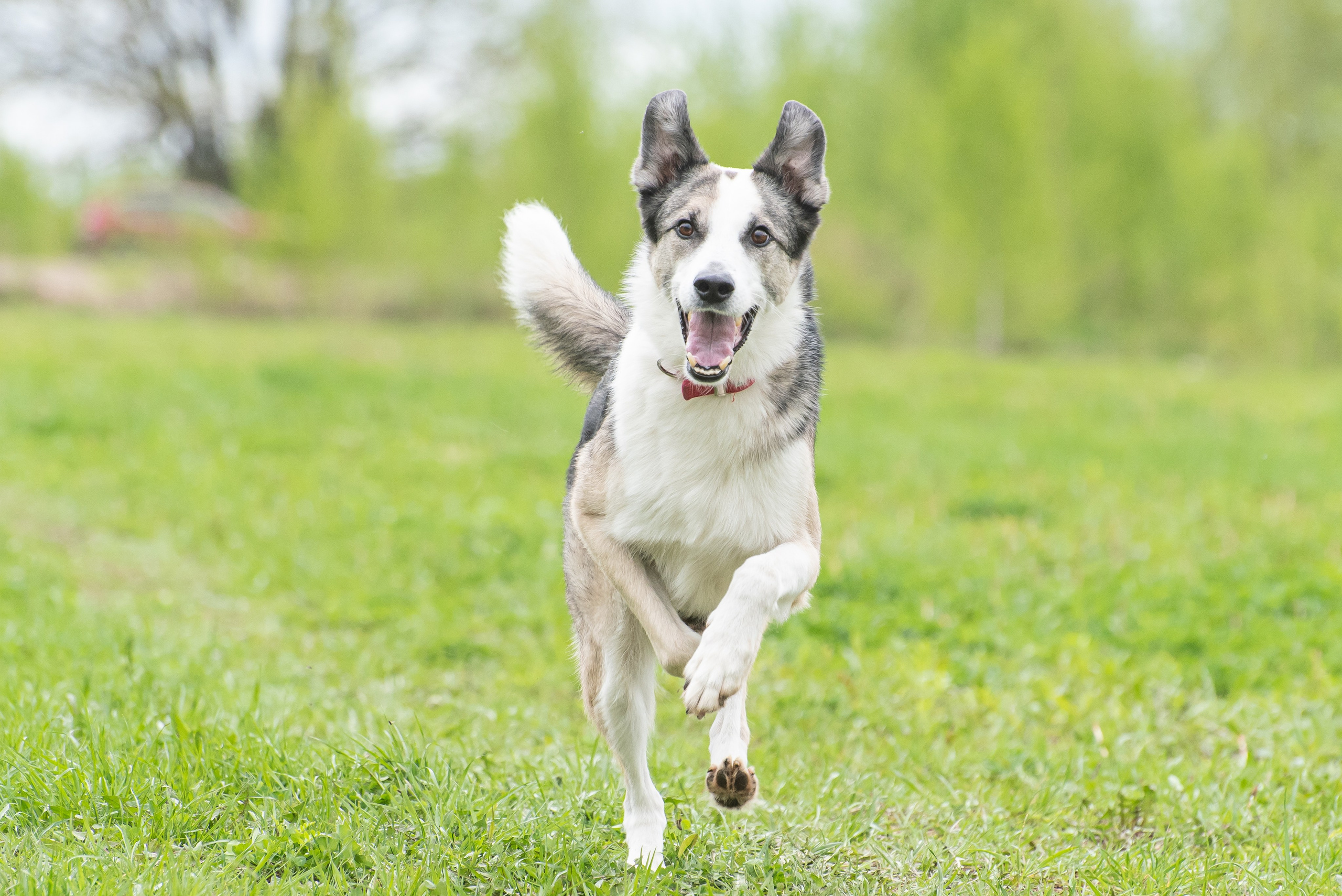 Фотографии с Курсинга. Фотограф Макс Огурцов в Нижнем Новгороде