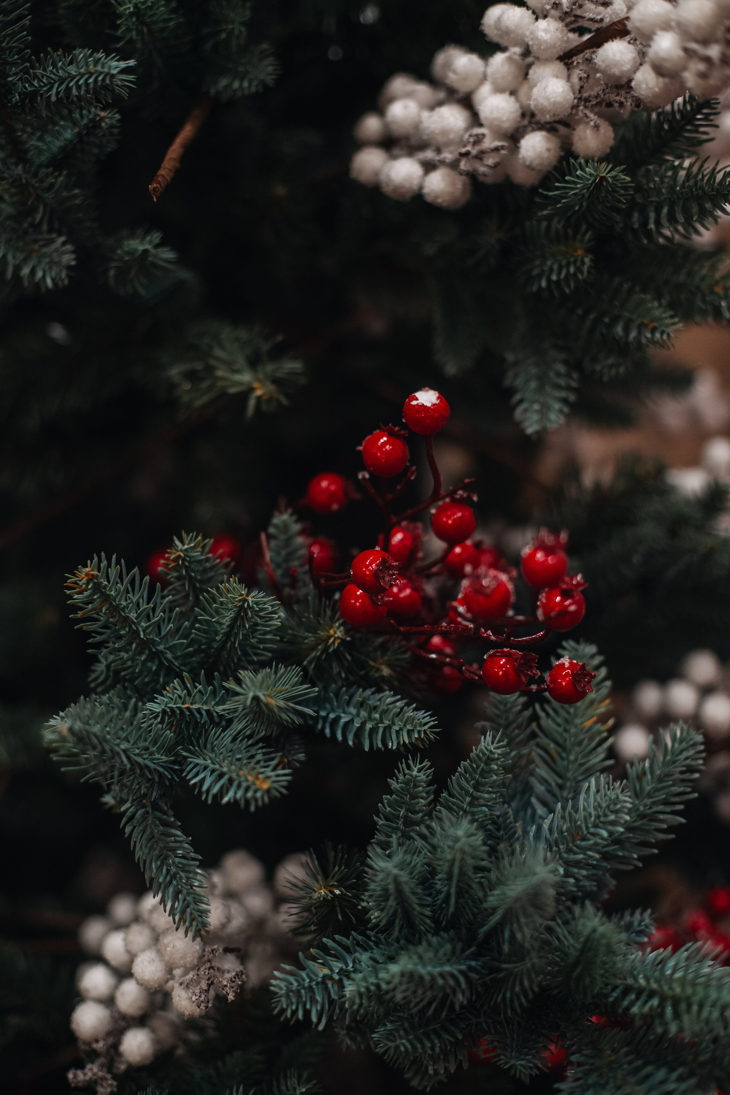 Бульёлка 2024. Фотограф-анималист Татьяна Степанова