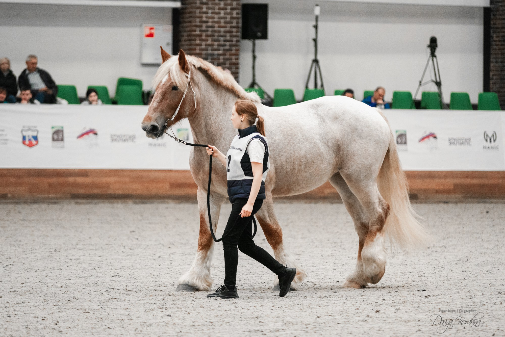 8-я международная выставка Конная Россия. Конный фотограф Куракина Дарья • Фотосессии с лошадьми