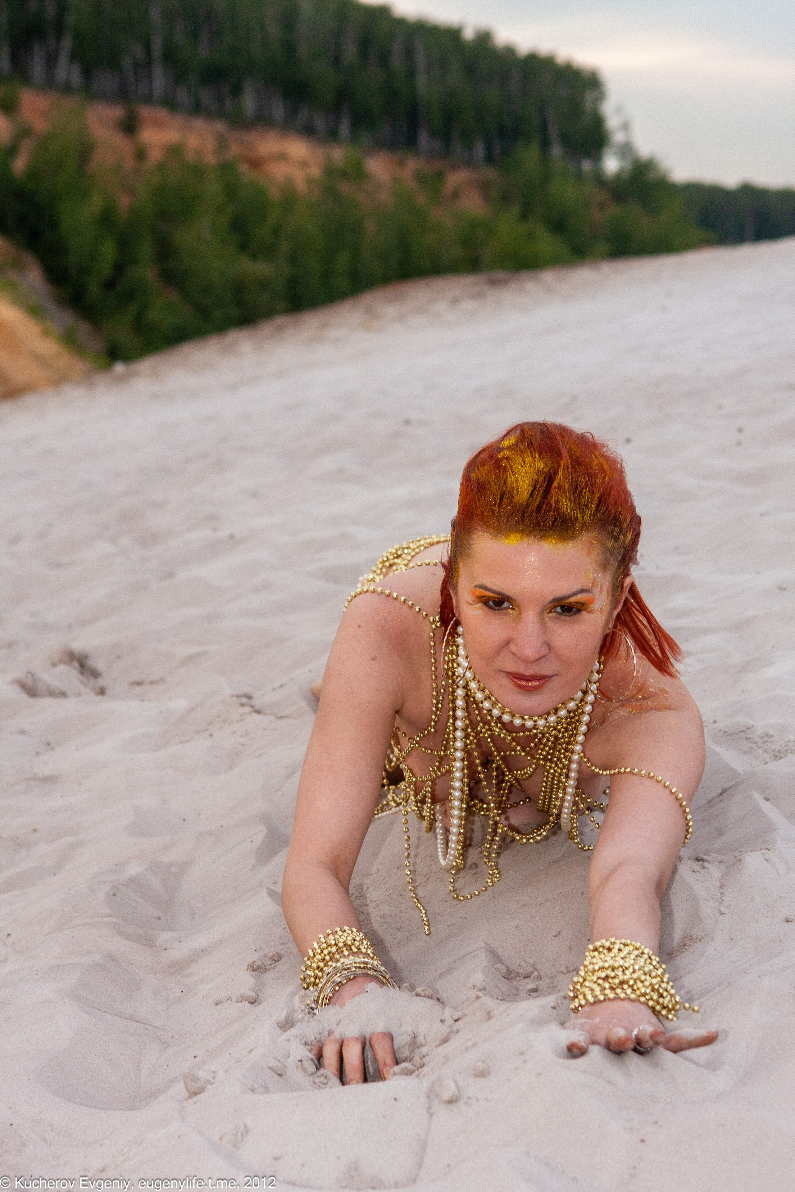 Кошка. Кучеров Евгений. Фотограф