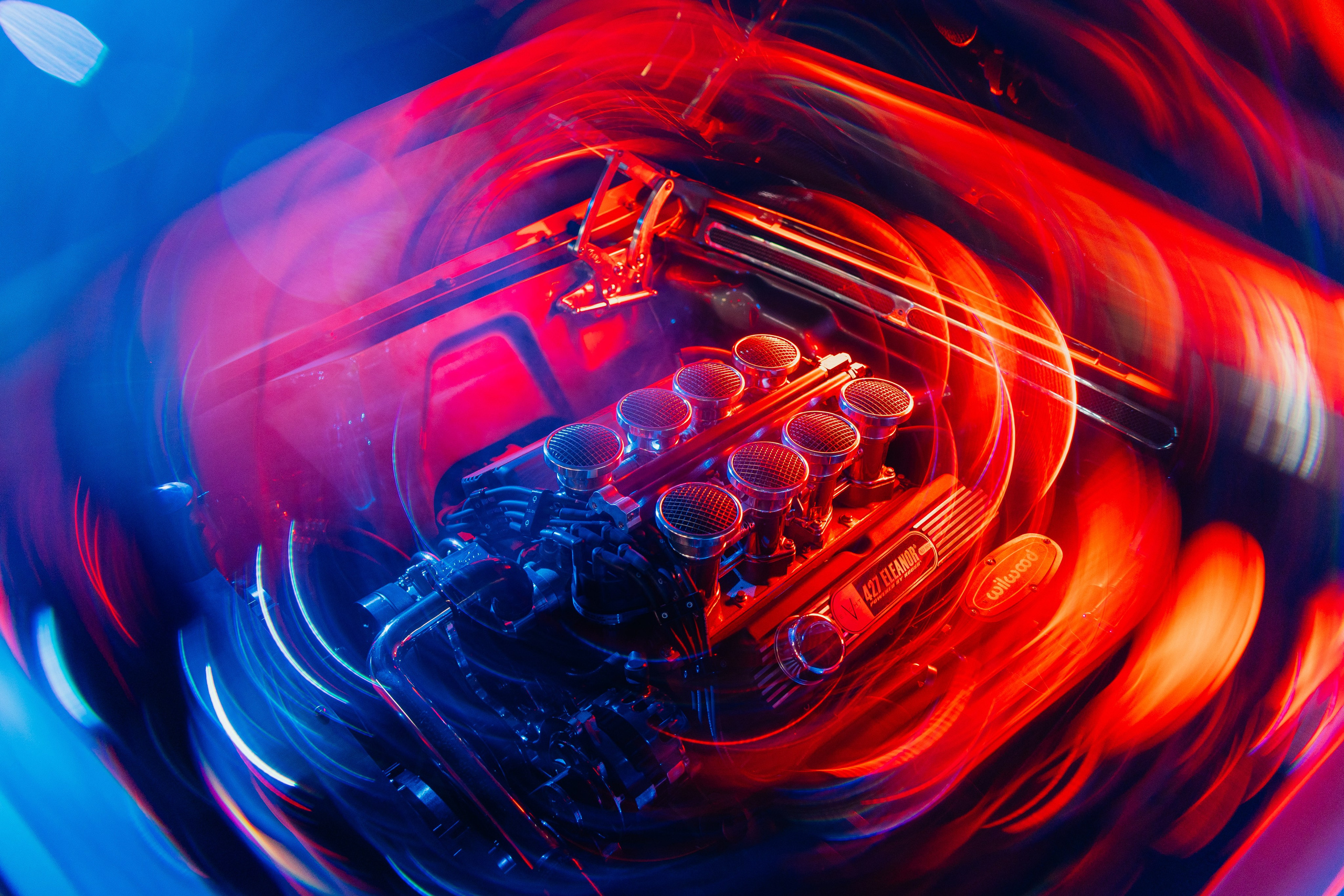 ФОТО. Видеограф Сочи Александр Барсуков