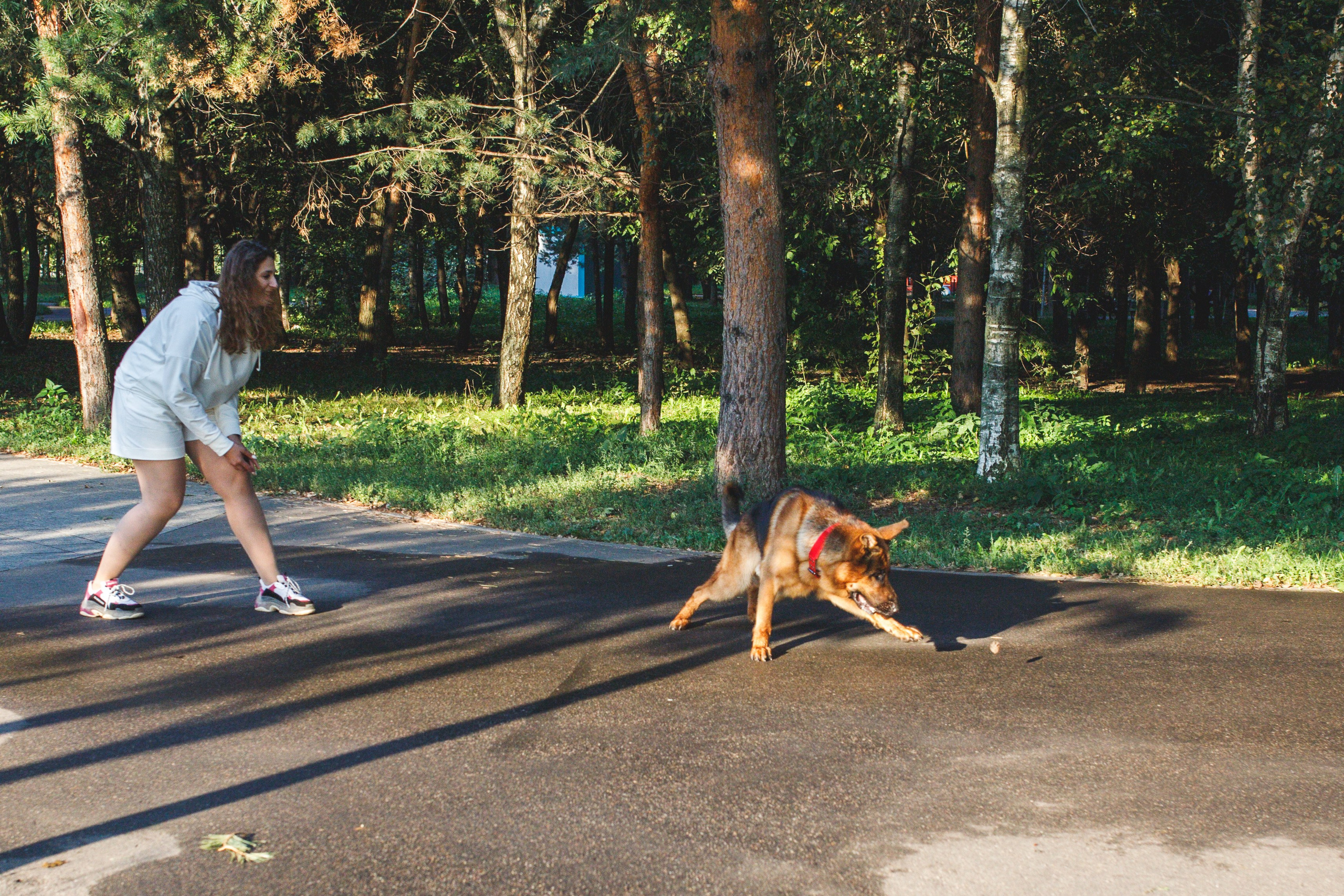 Фотопрогулка молодой девушки и ее собаки летним утром в парке. Семейный и школьный фотограф в Москве Анна Ткач