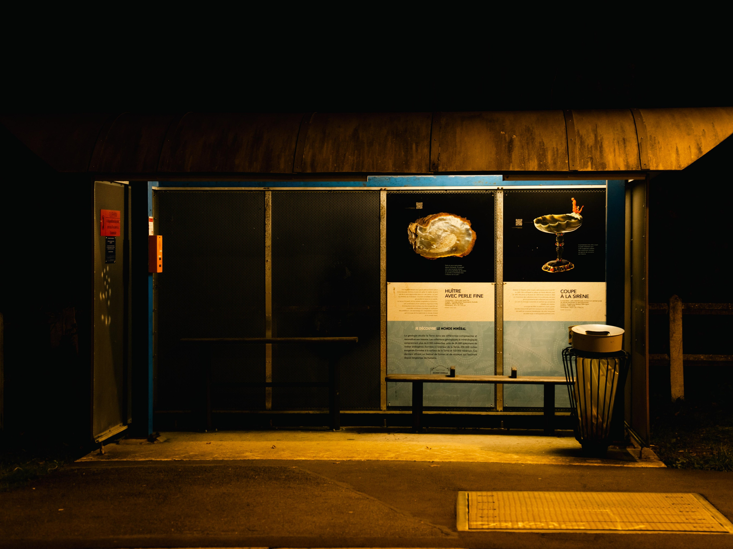 Champagne 2025. Фотограф в Крыму Алевтина Швец